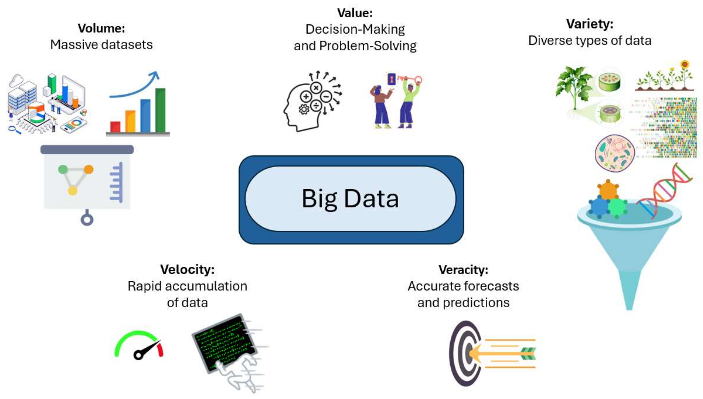 Agronomy 15 00757 g001