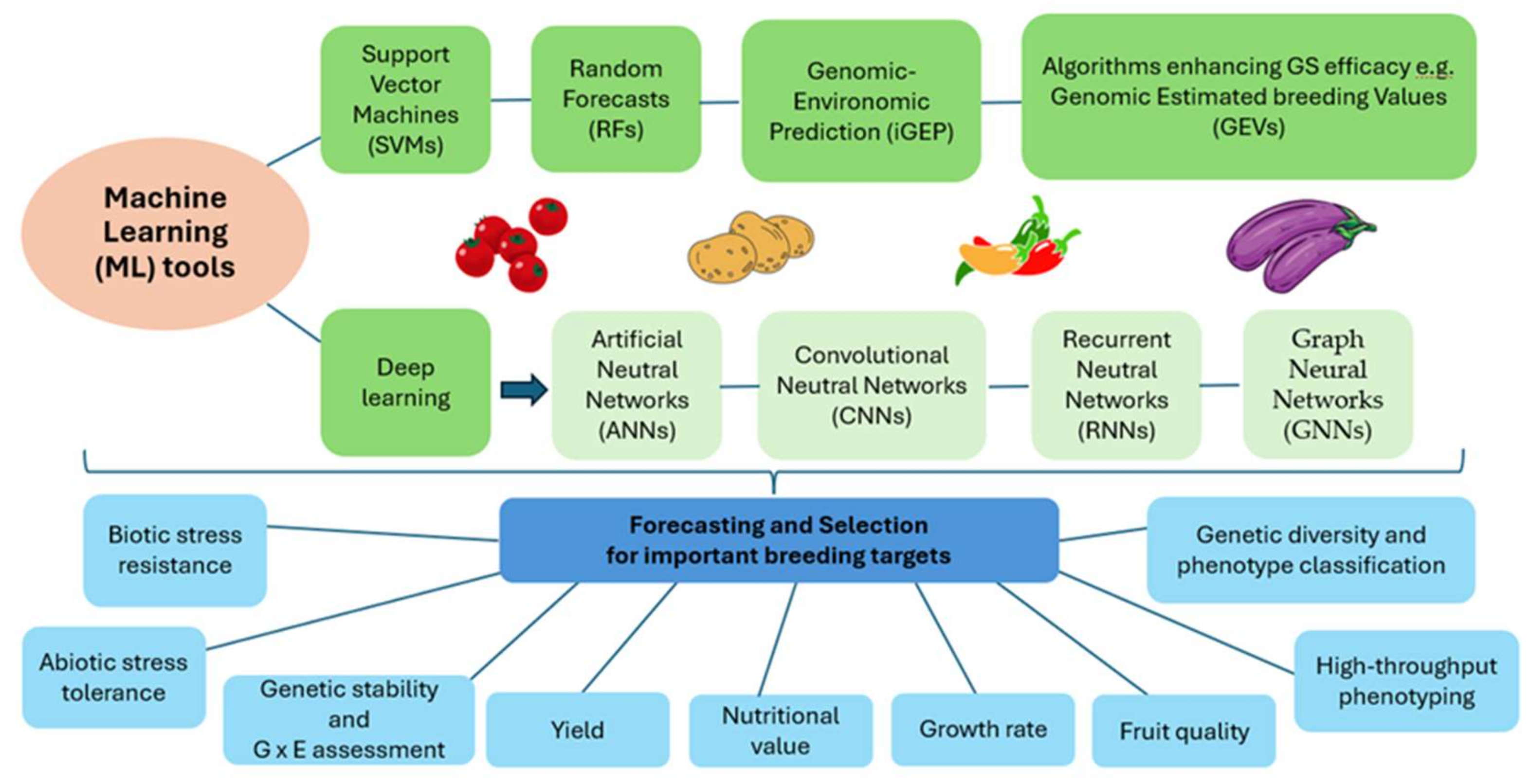 Agronomy 15 00757 g002
