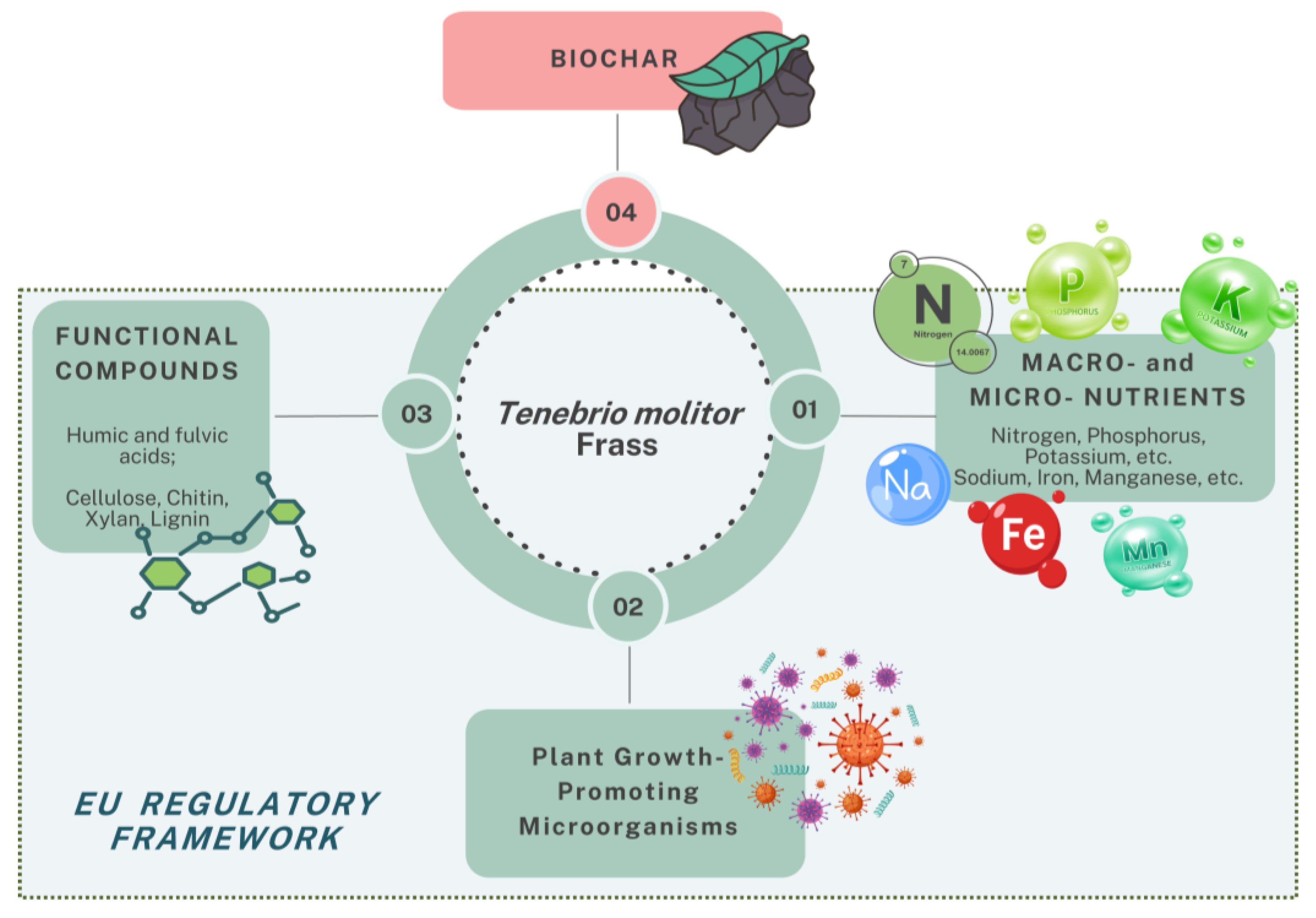 Agronomy 15 00758 g001