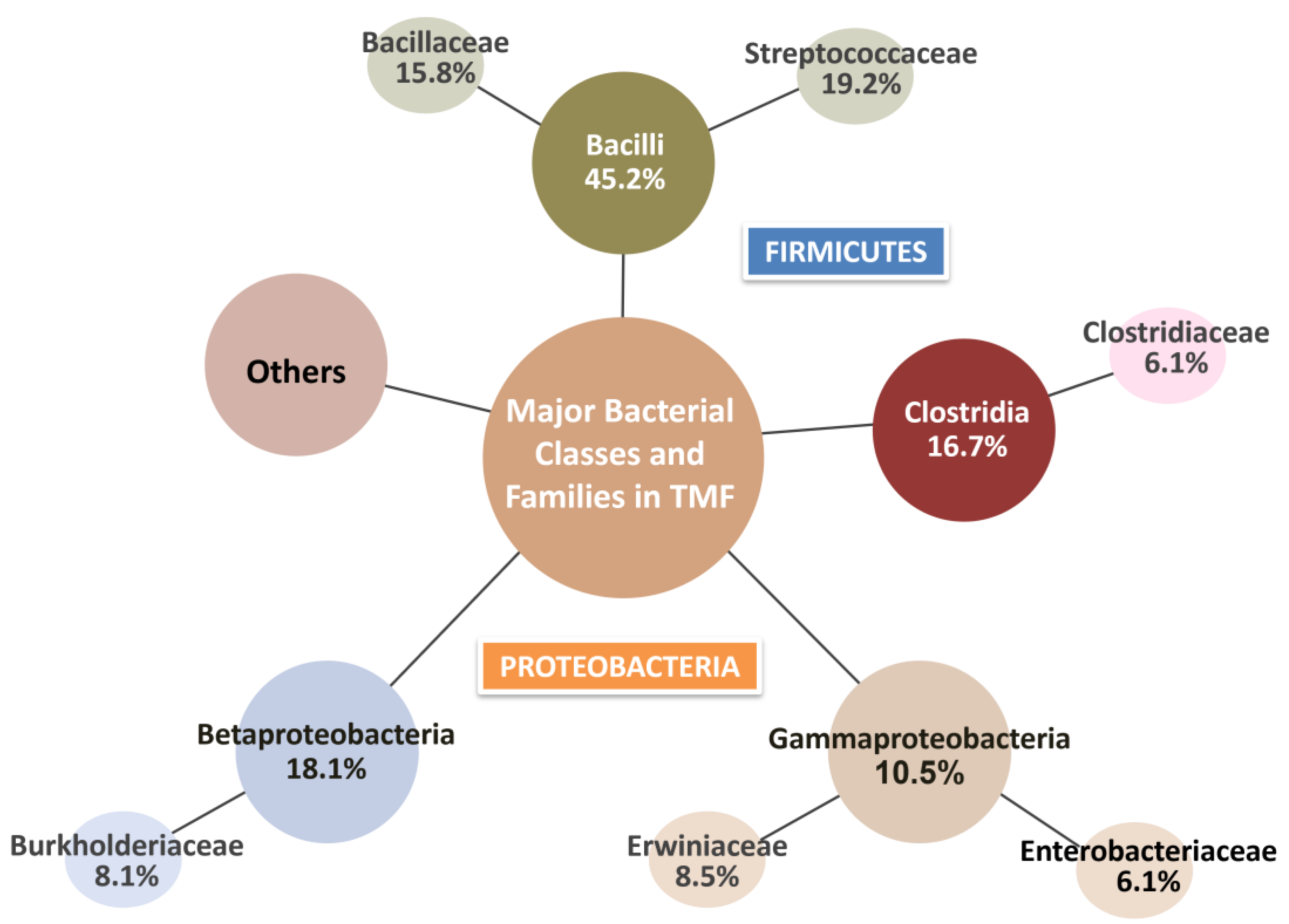 Agronomy 15 00758 g004