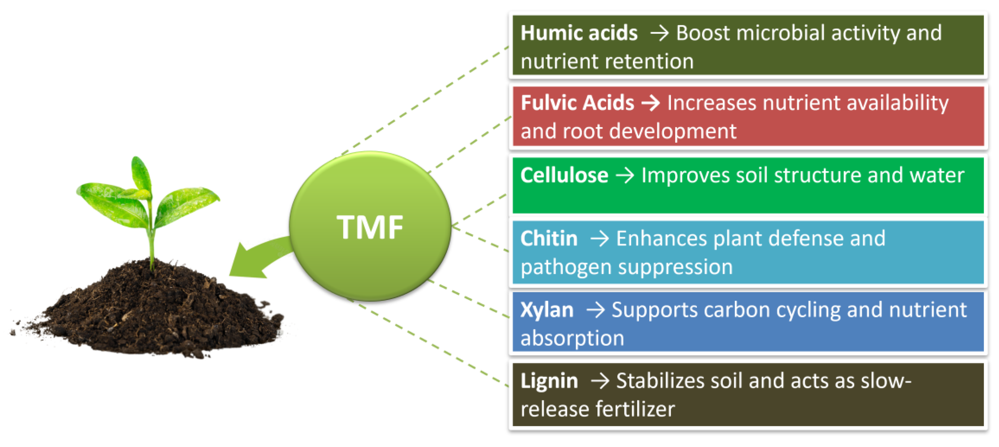 Agronomy 15 00758 g005