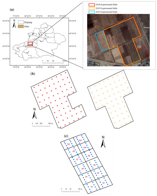 Identification and Evaluation of the Main Constraints on