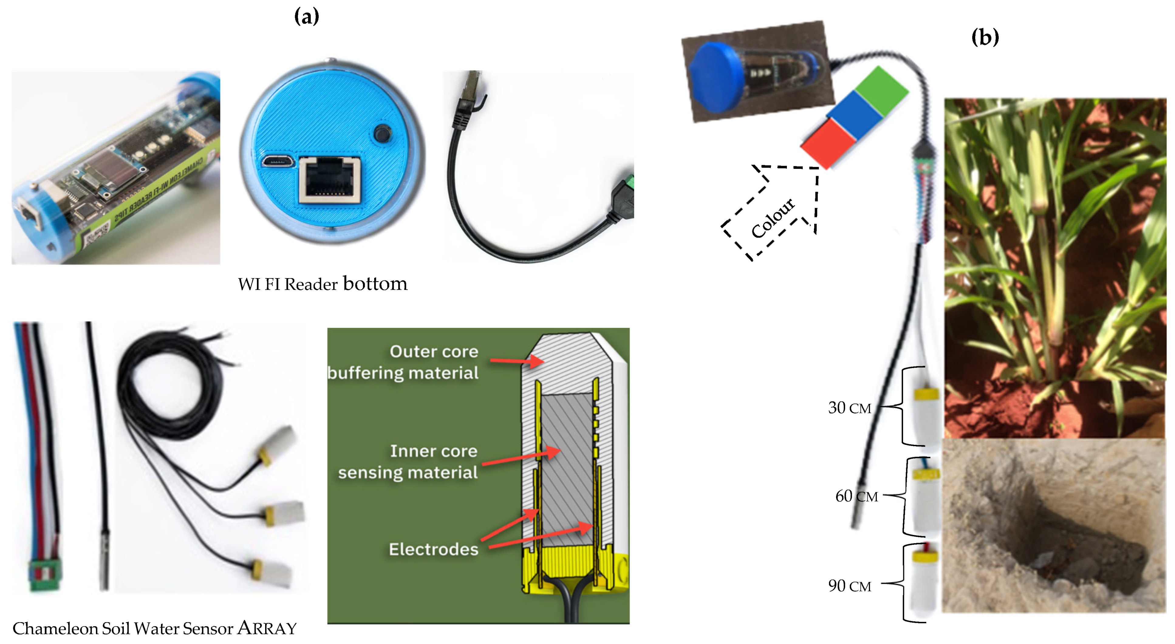 Agronomy 15 00767 g002 Agronomy 15 00767 g002