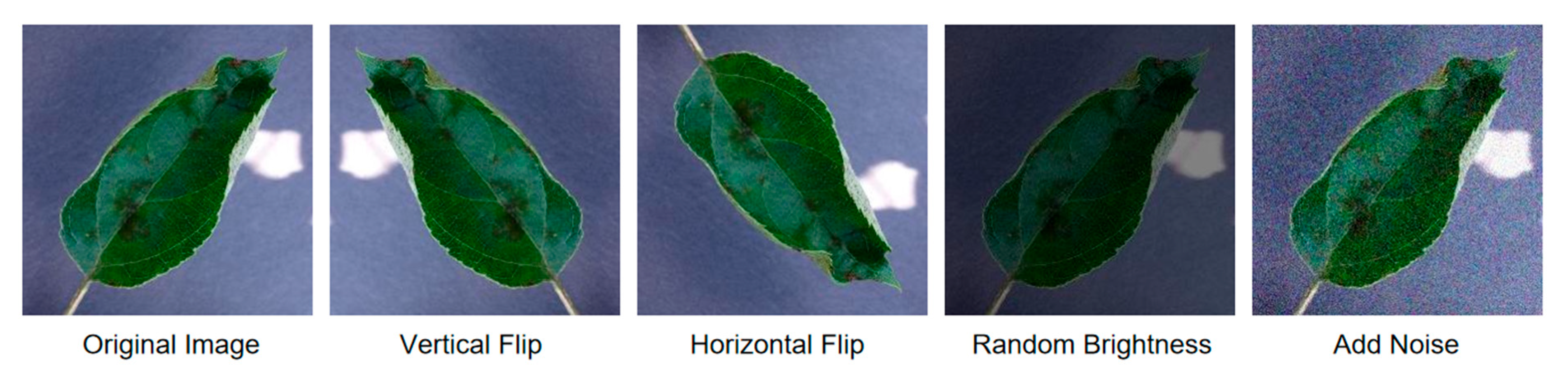 Agronomy 15 00770 g002