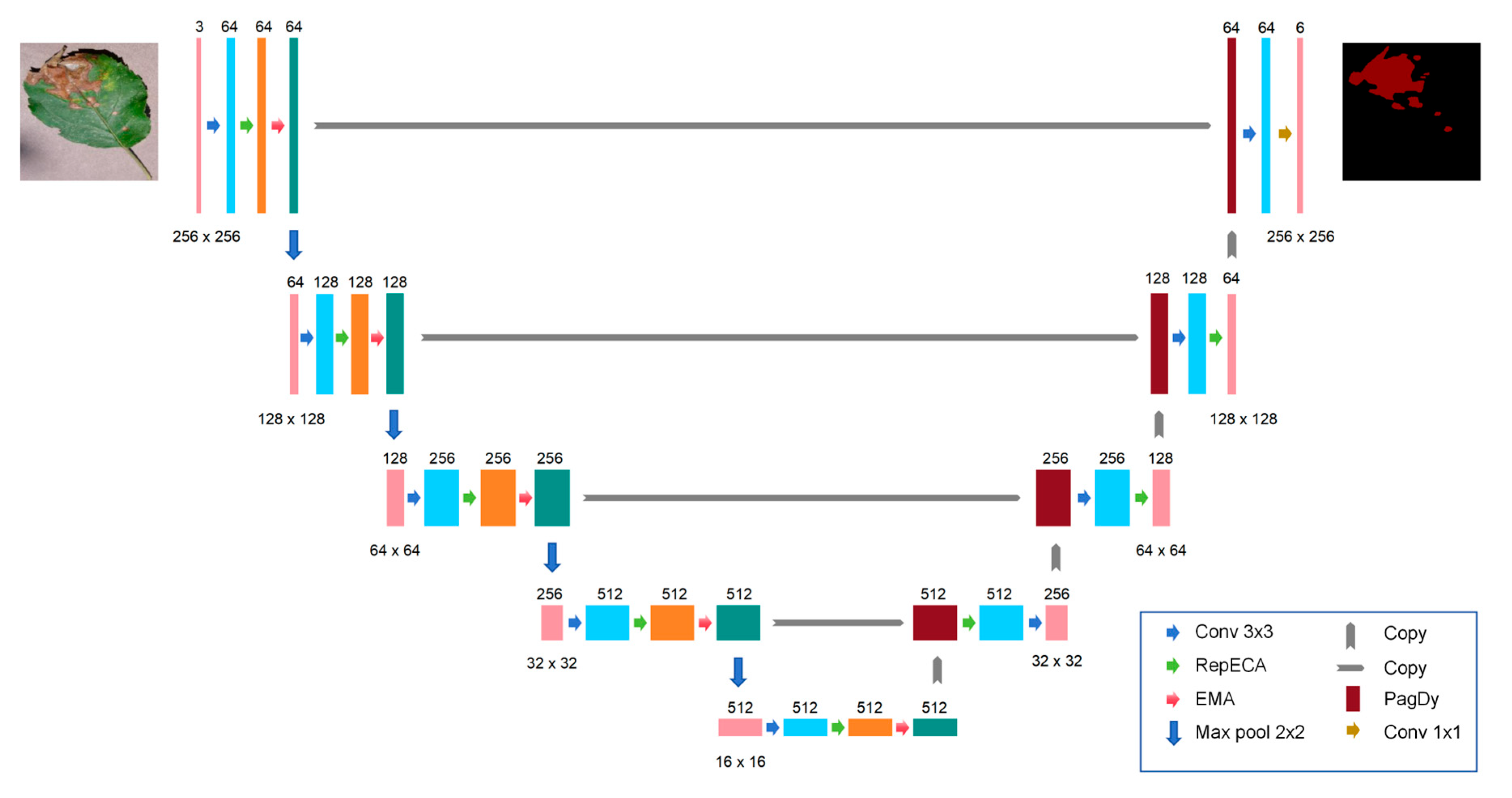 Agronomy 15 00770 g003