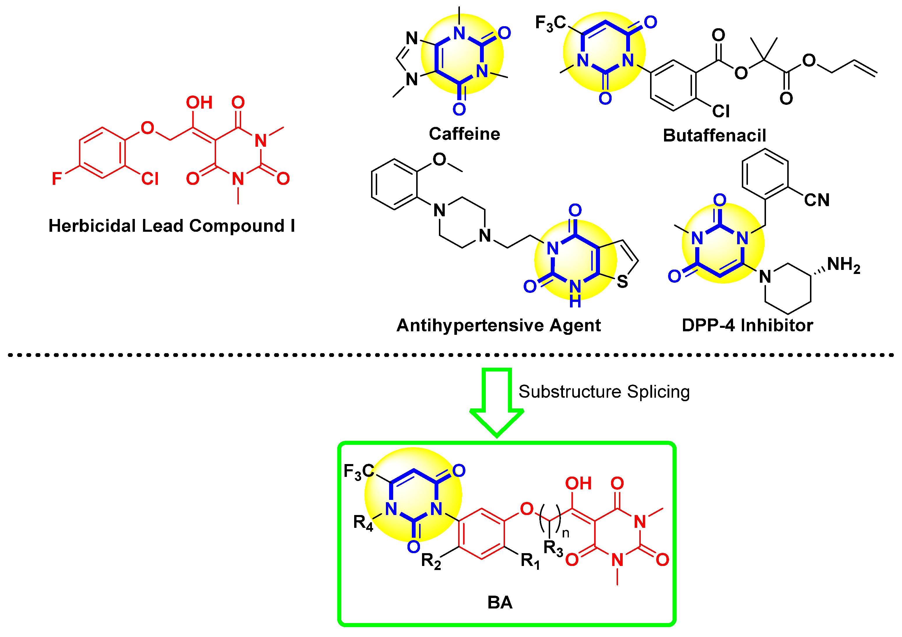 Agronomy 15 00777 g001