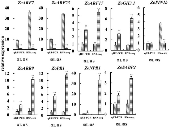 Integrated Analysis of Hormone Metabolomics and