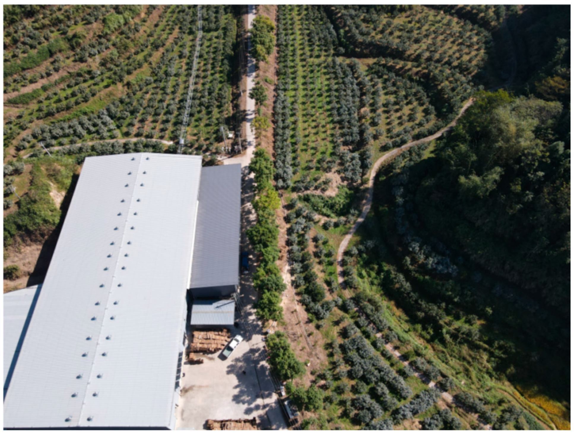 Agronomy 15 00781 g007