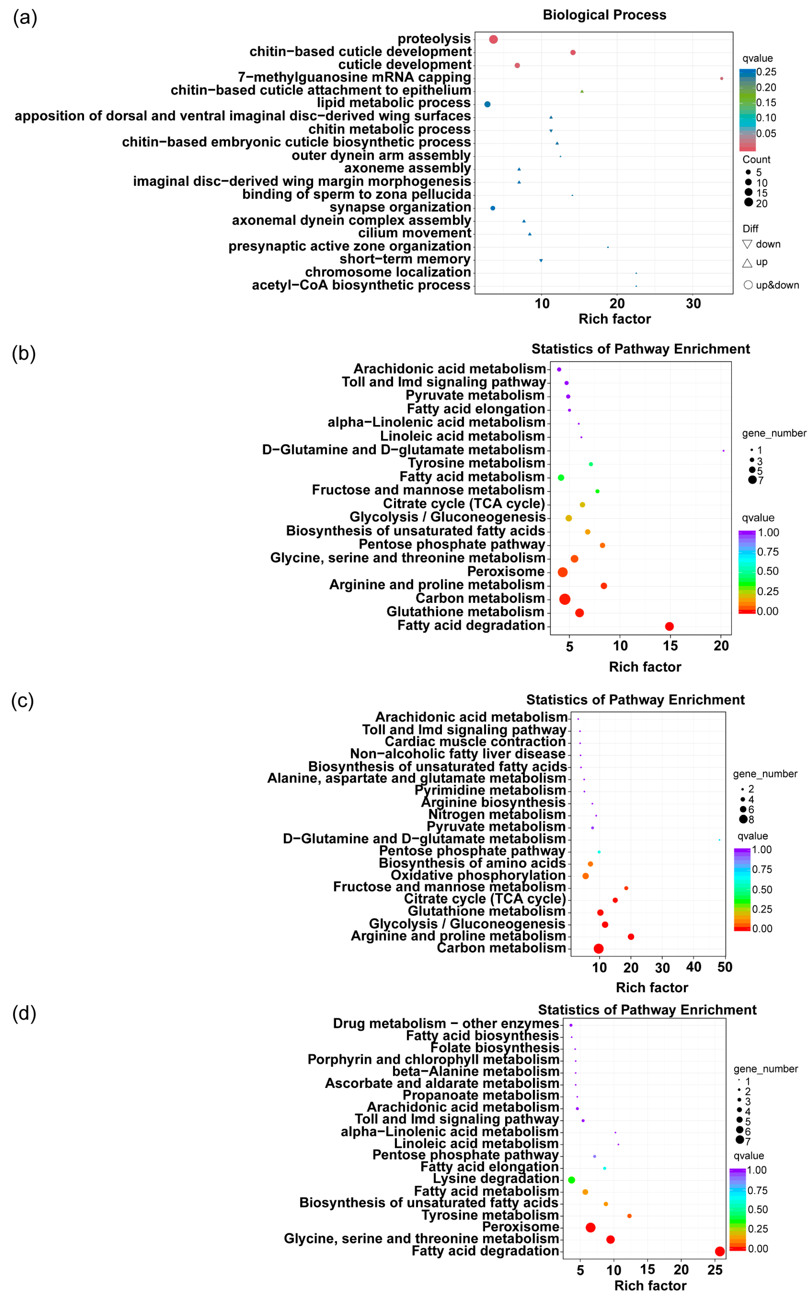 Agronomy 15 00782 g007
