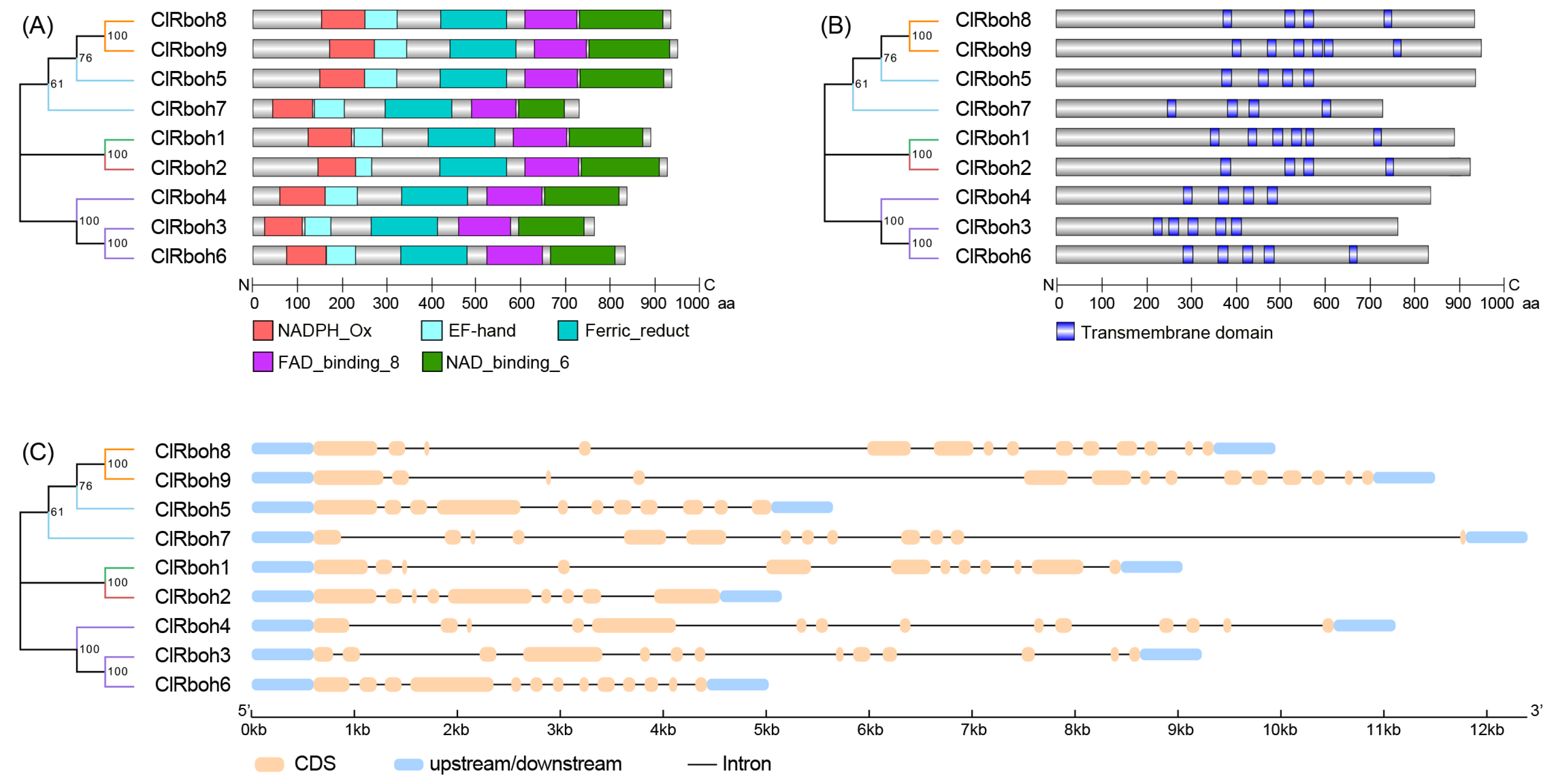 Agronomy 15 00784 g007