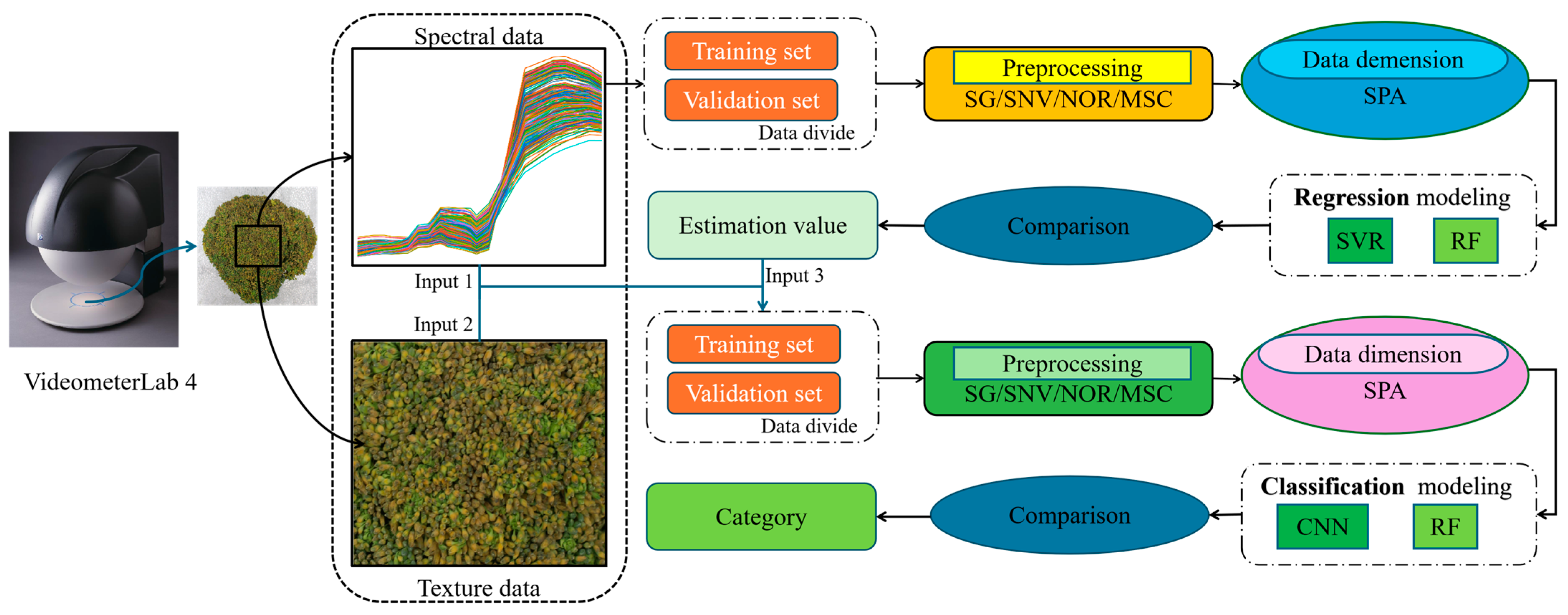 Agronomy 15 00788 g002