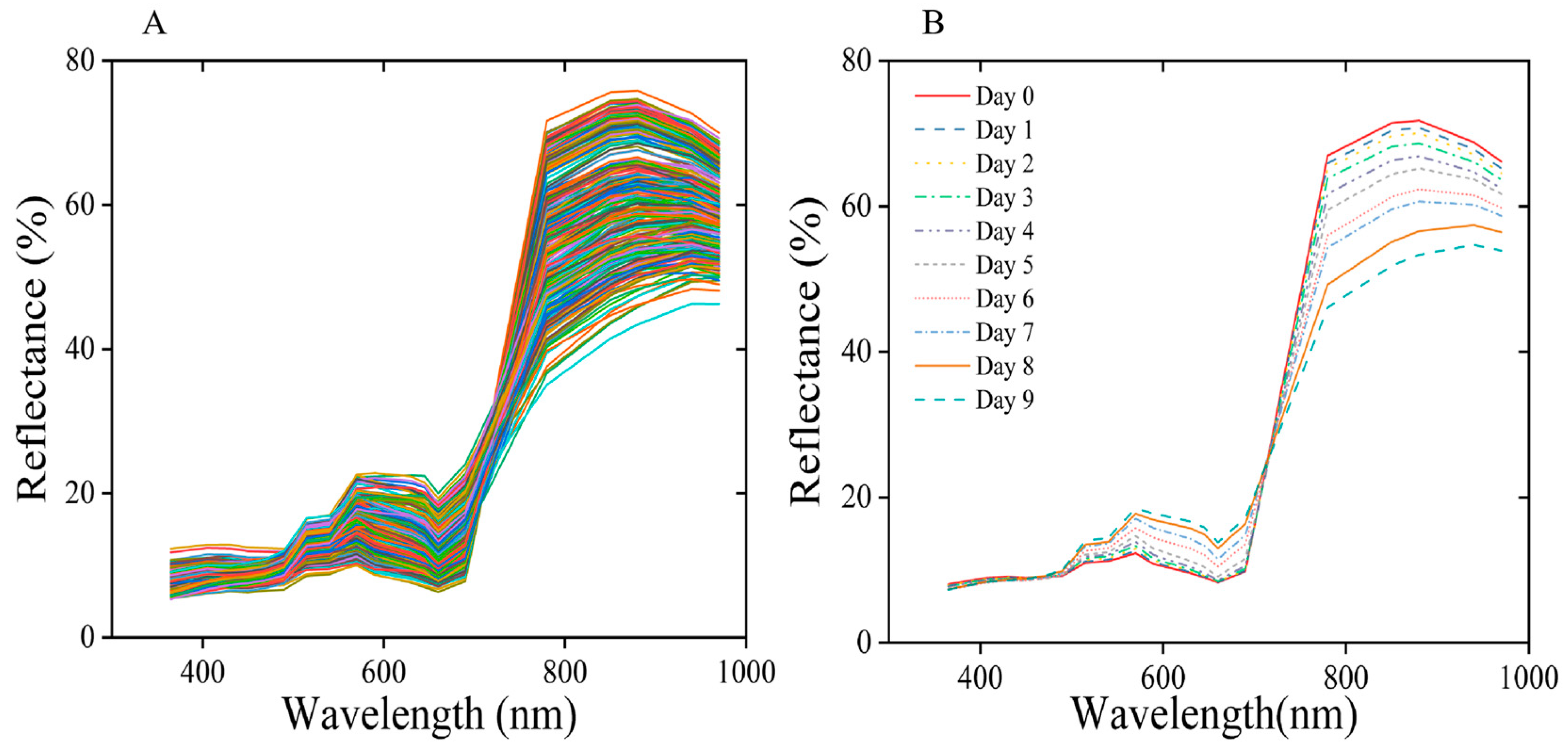 Agronomy 15 00788 g007