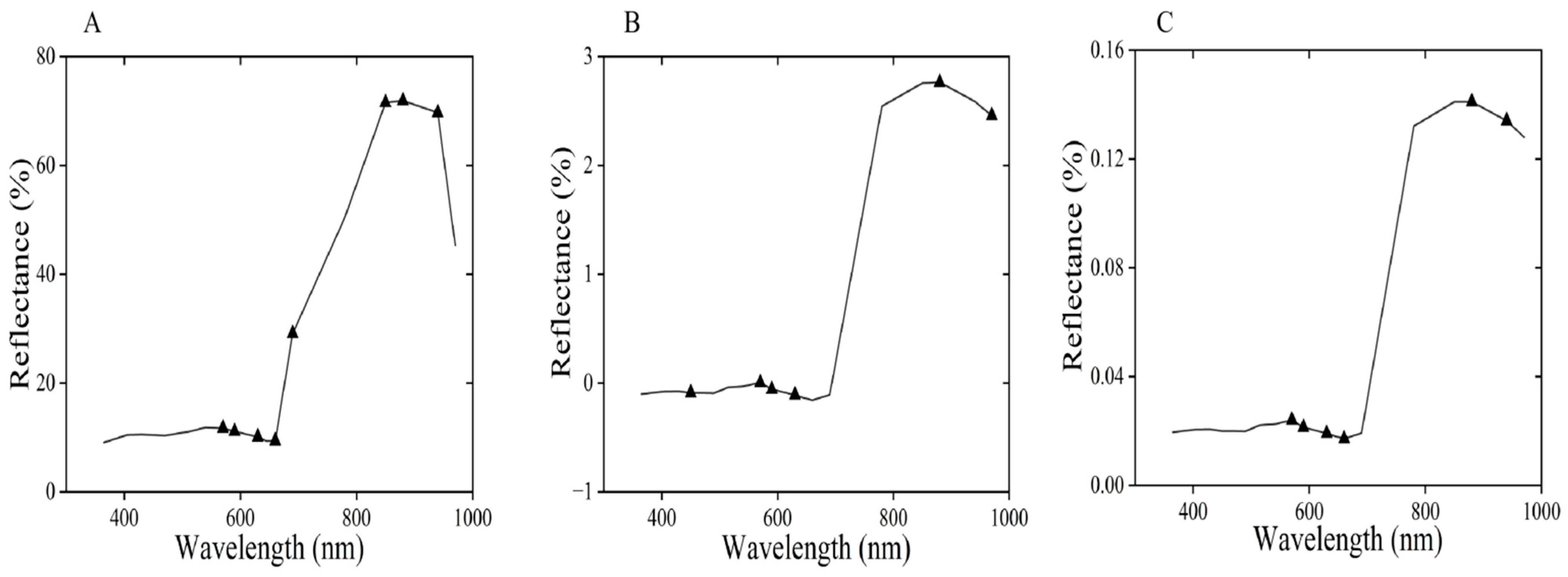 Agronomy 15 00788 g011