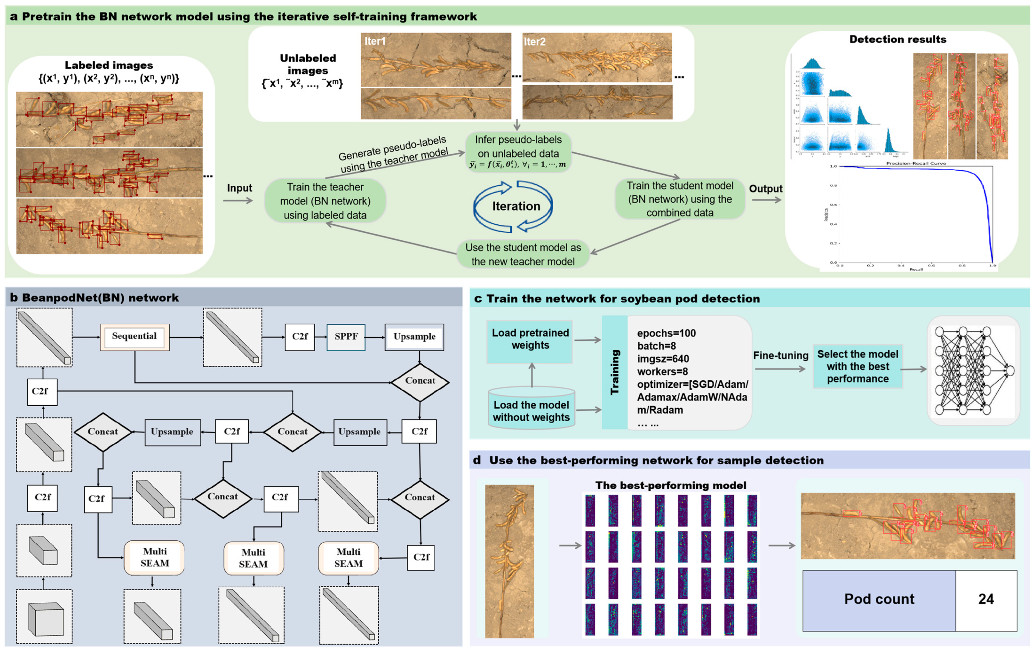 Agronomy 15 00791 g001