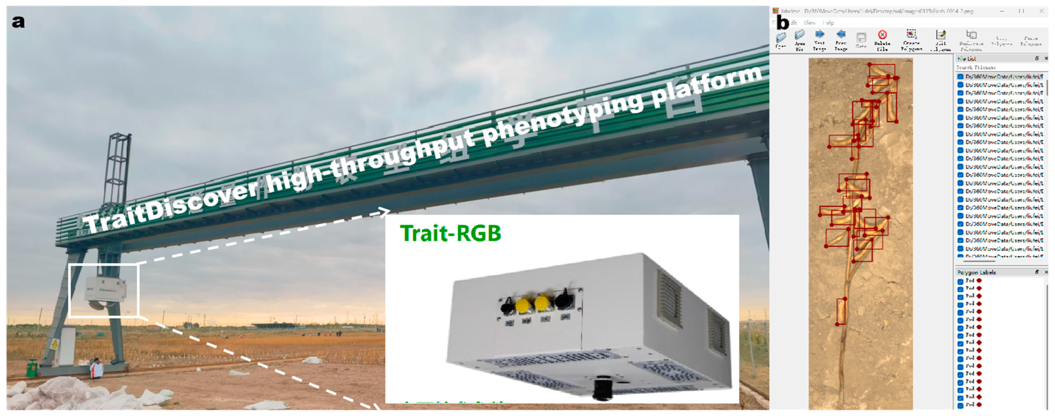 Agronomy 15 00791 g002