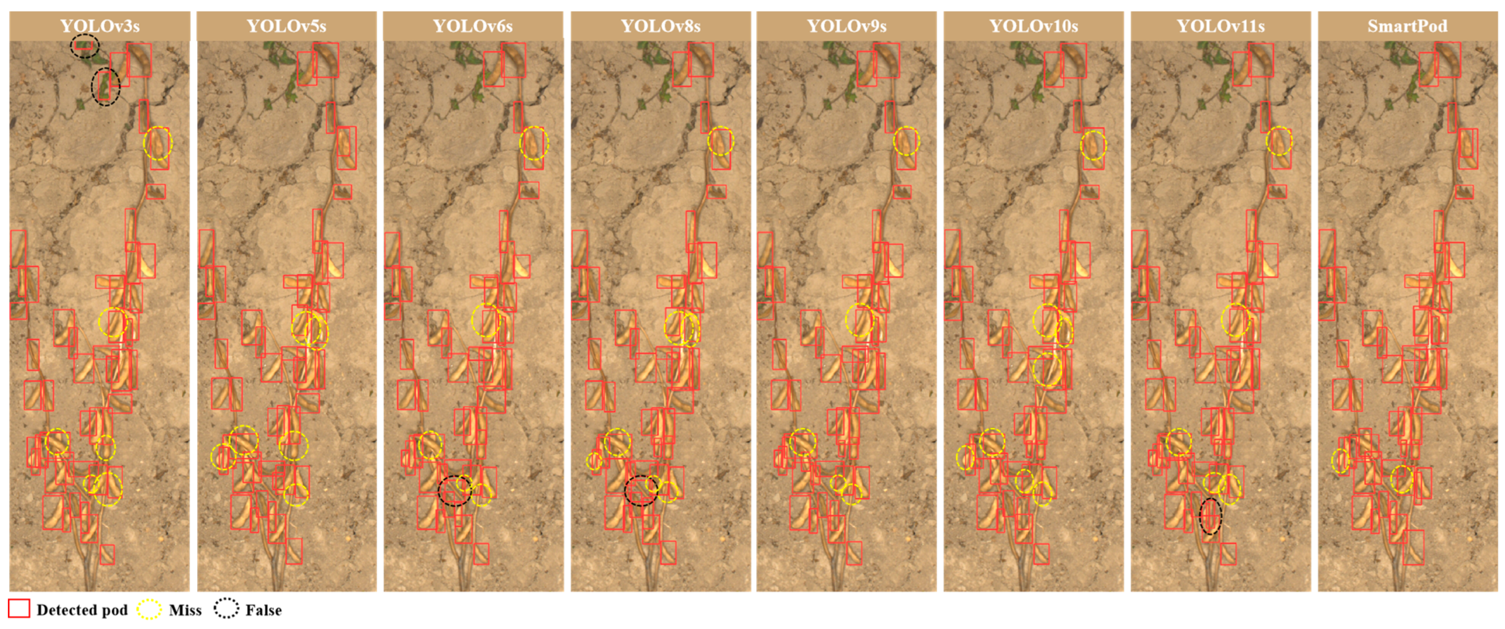 Agronomy 15 00791 g009