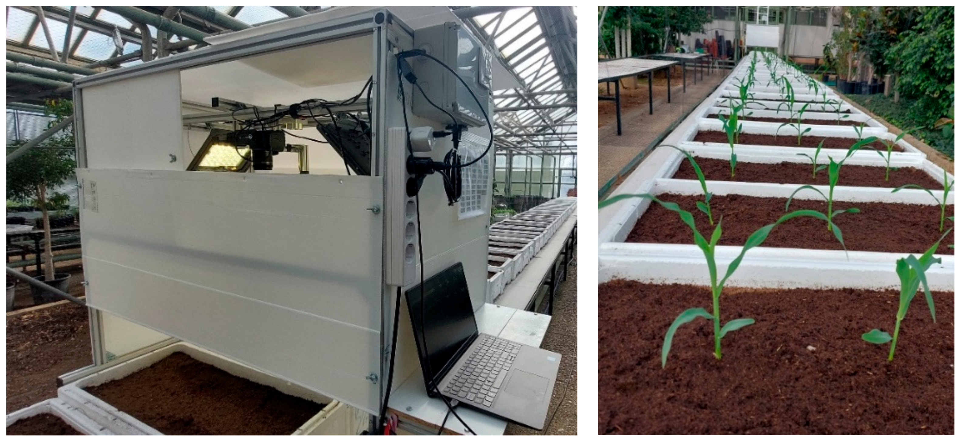 Agronomy 15 00796 g003