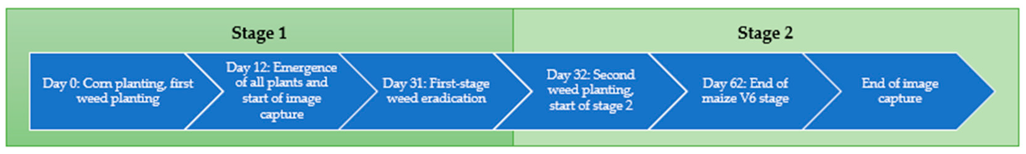 Agronomy 15 00796 g004