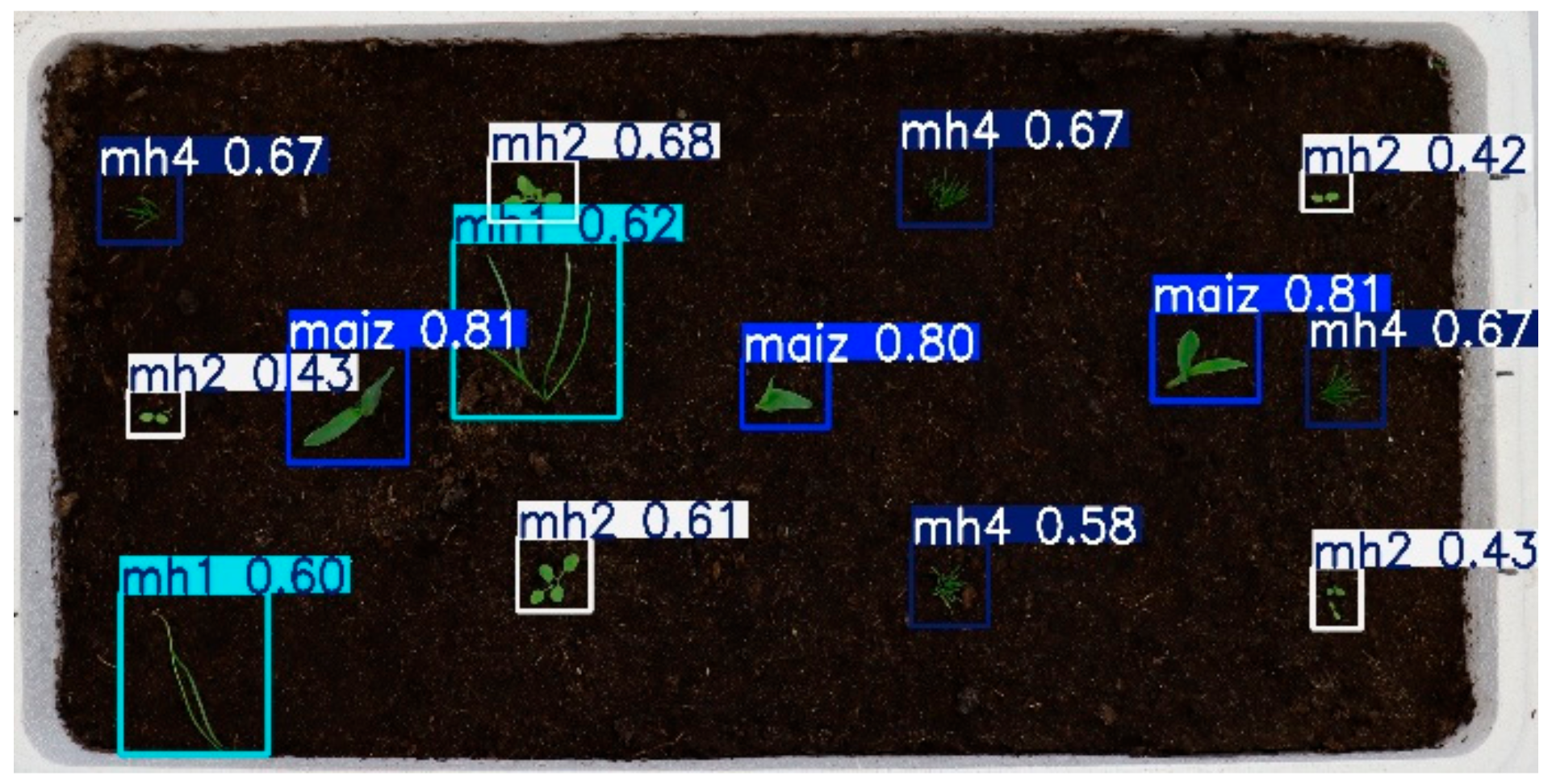 Agronomy 15 00796 g030
