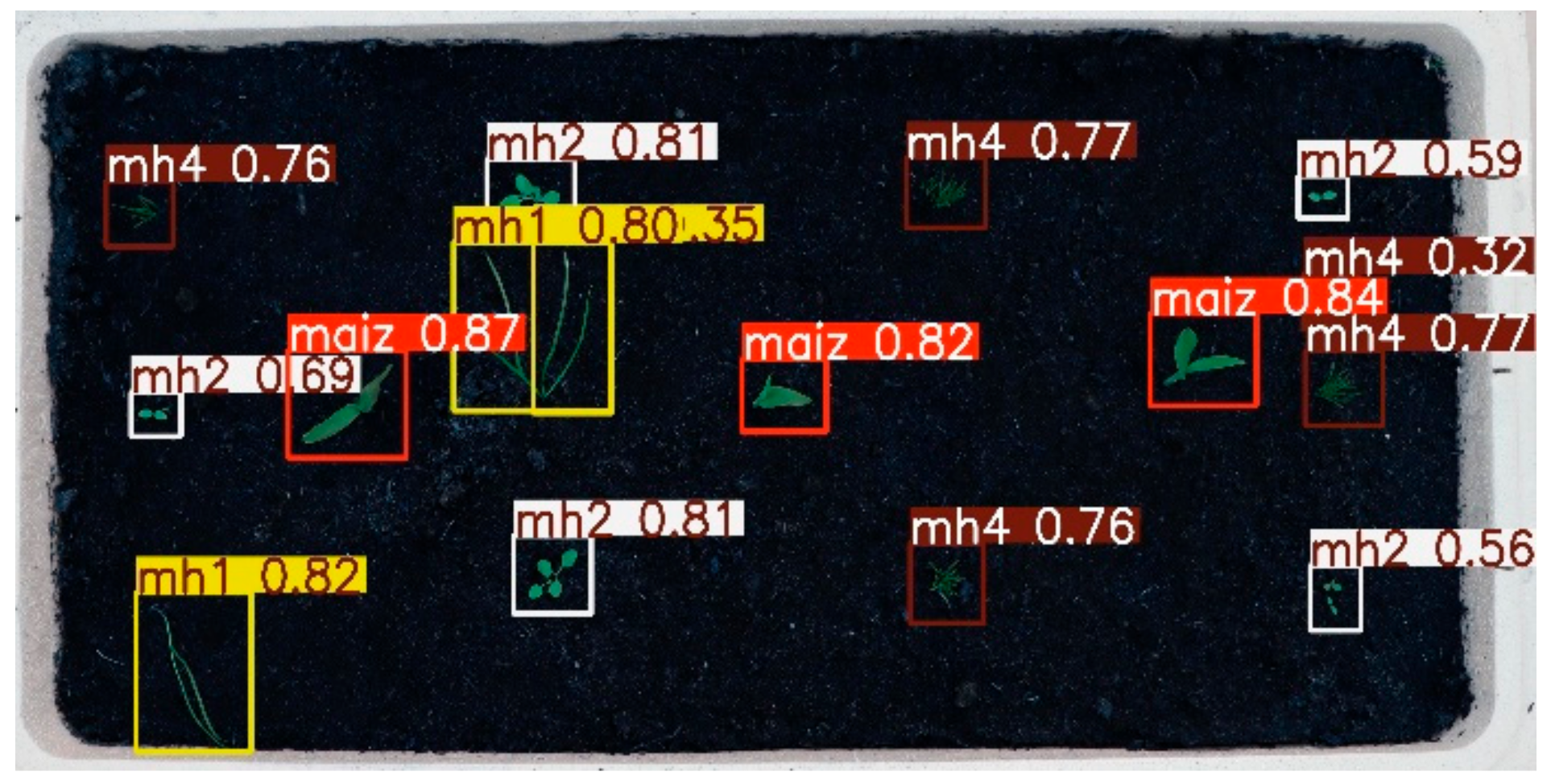 Agronomy 15 00796 g031