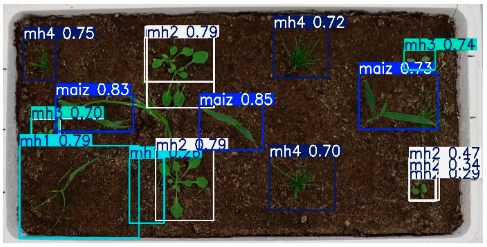Agronomy 15 00796 g032