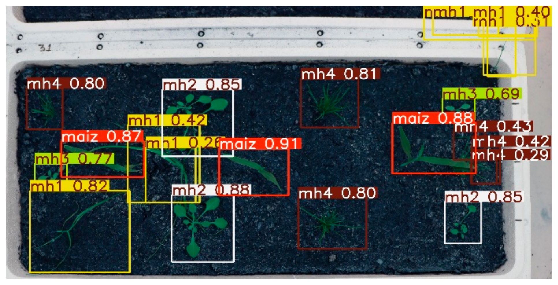 Agronomy 15 00796 g033