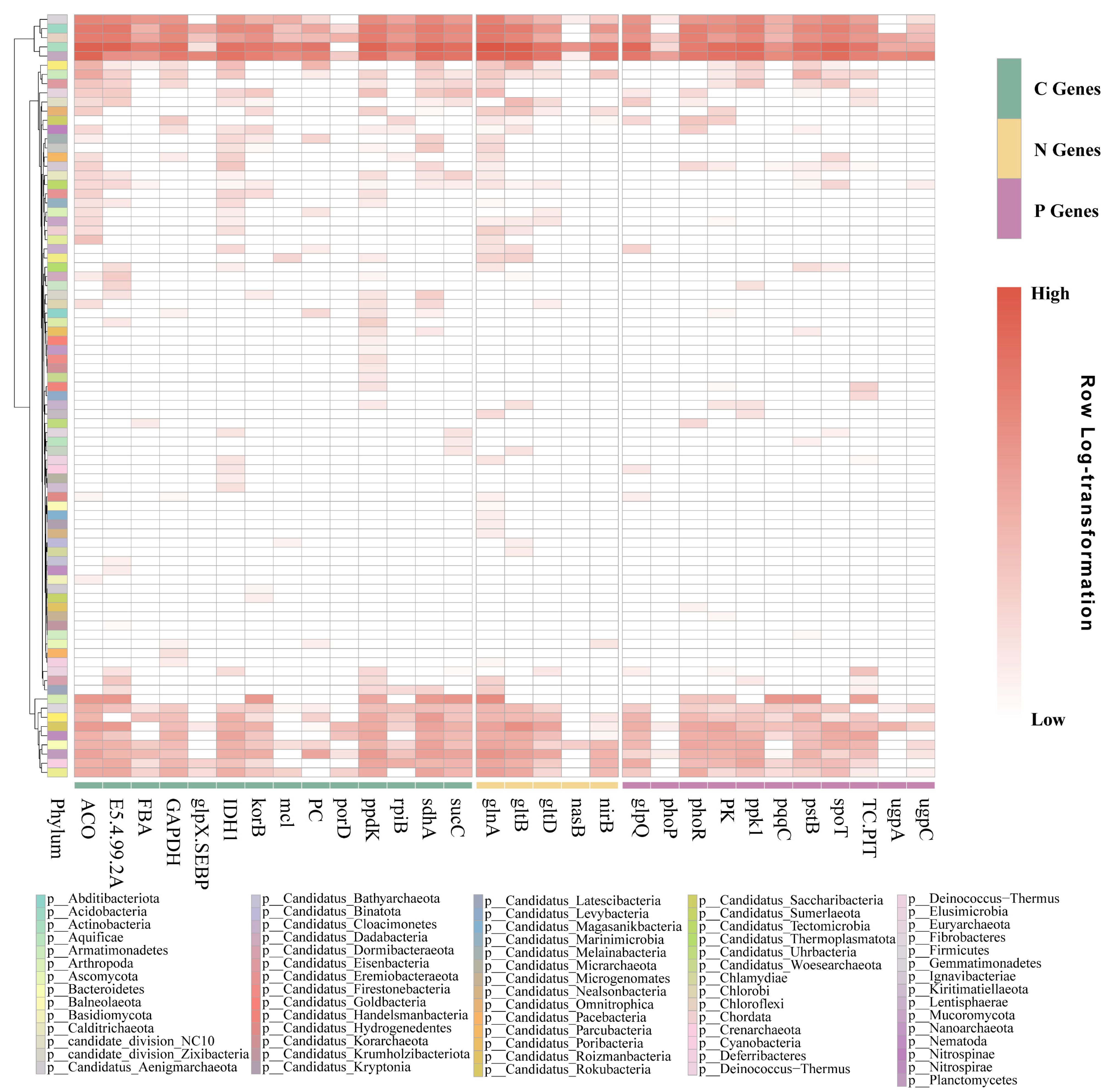 Agronomy 15 00797 g004
