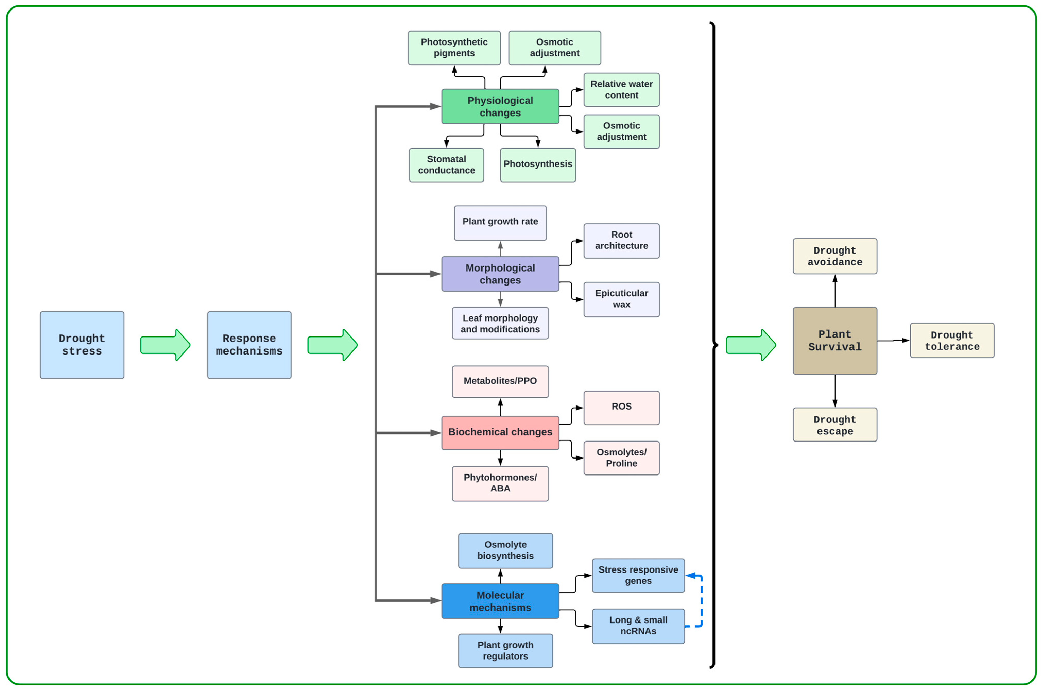 Agronomy 15 00798 g001