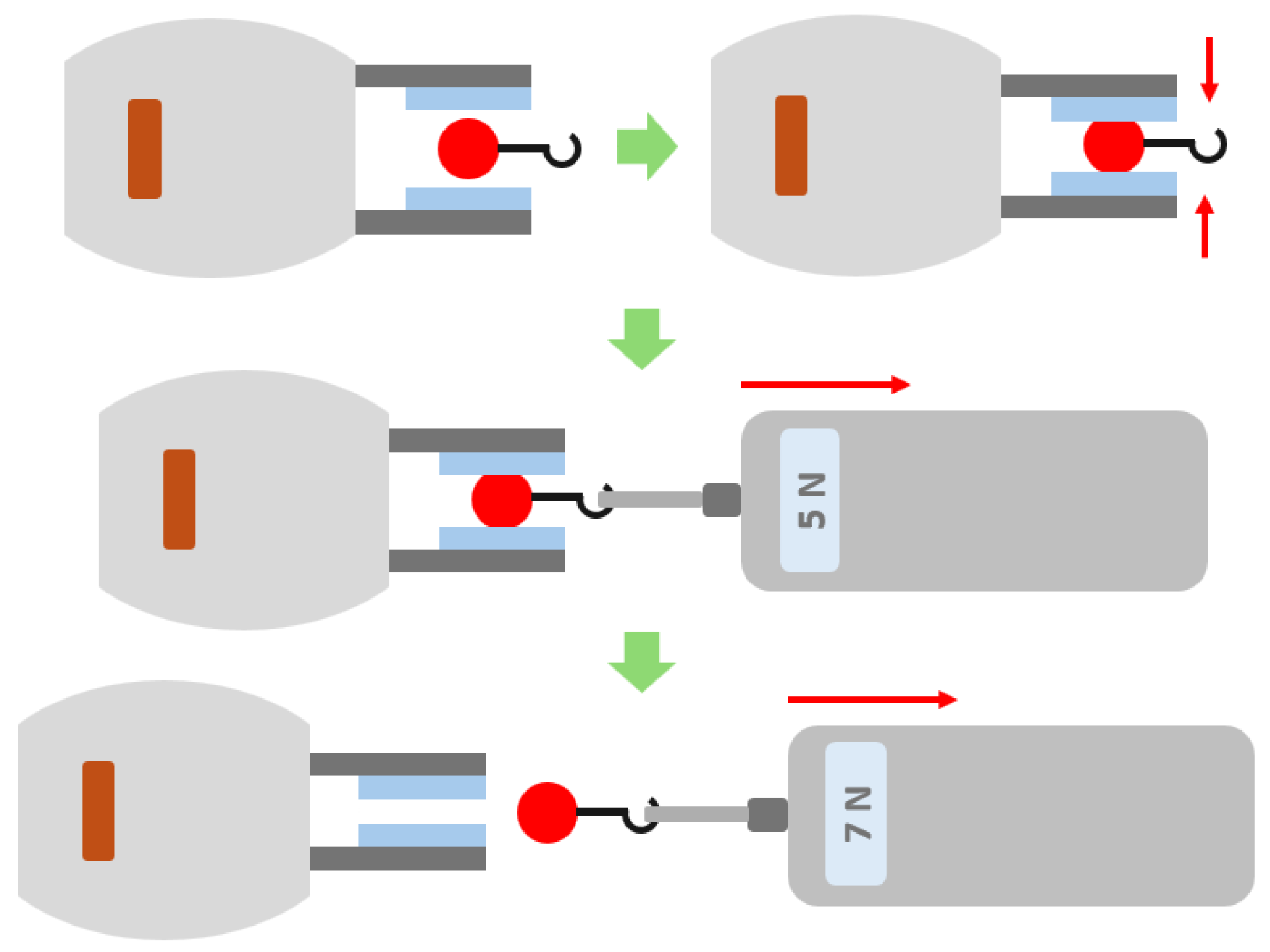 Agronomy 15 00804 g002