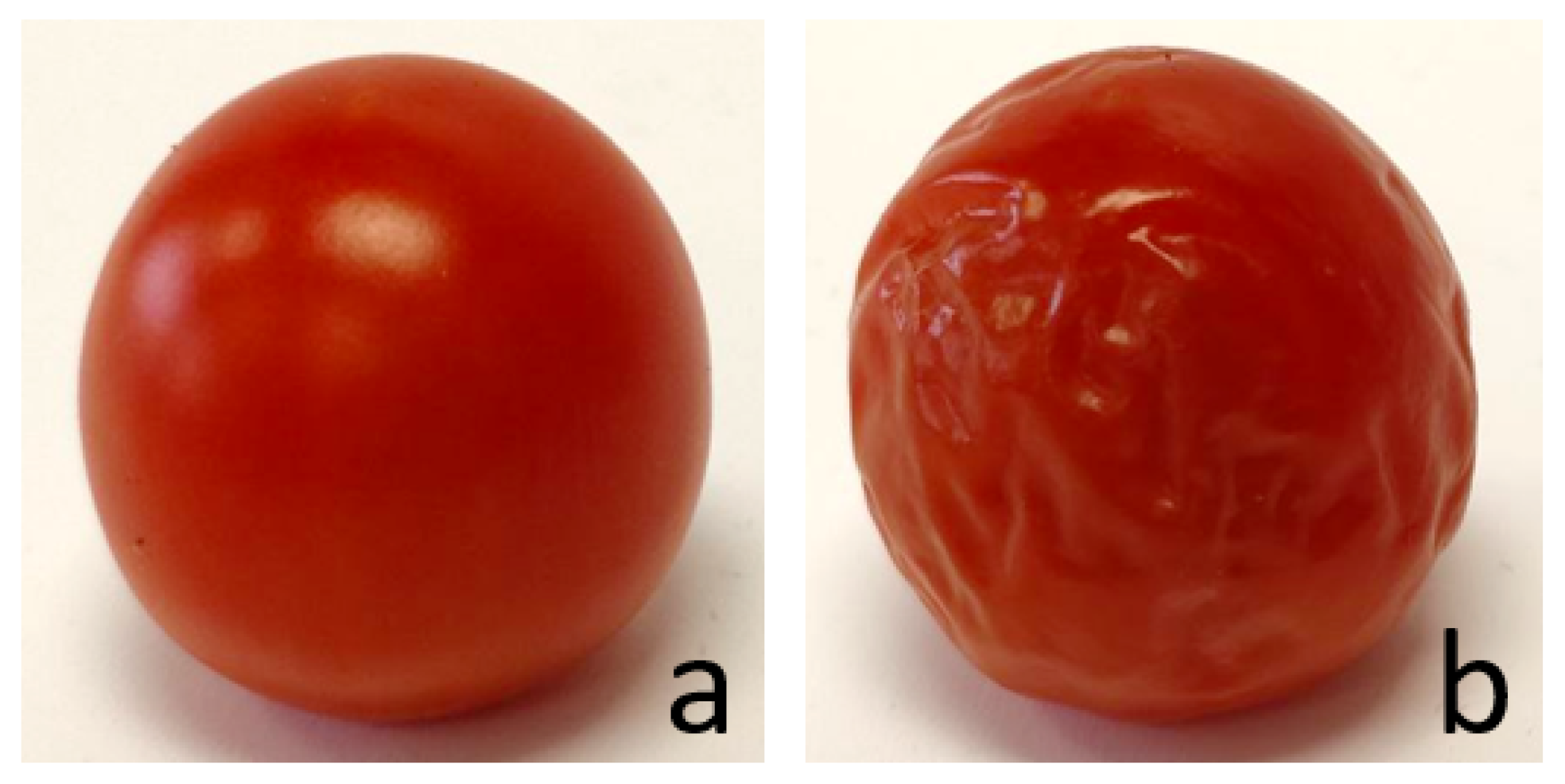 Agronomy 15 00804 g007