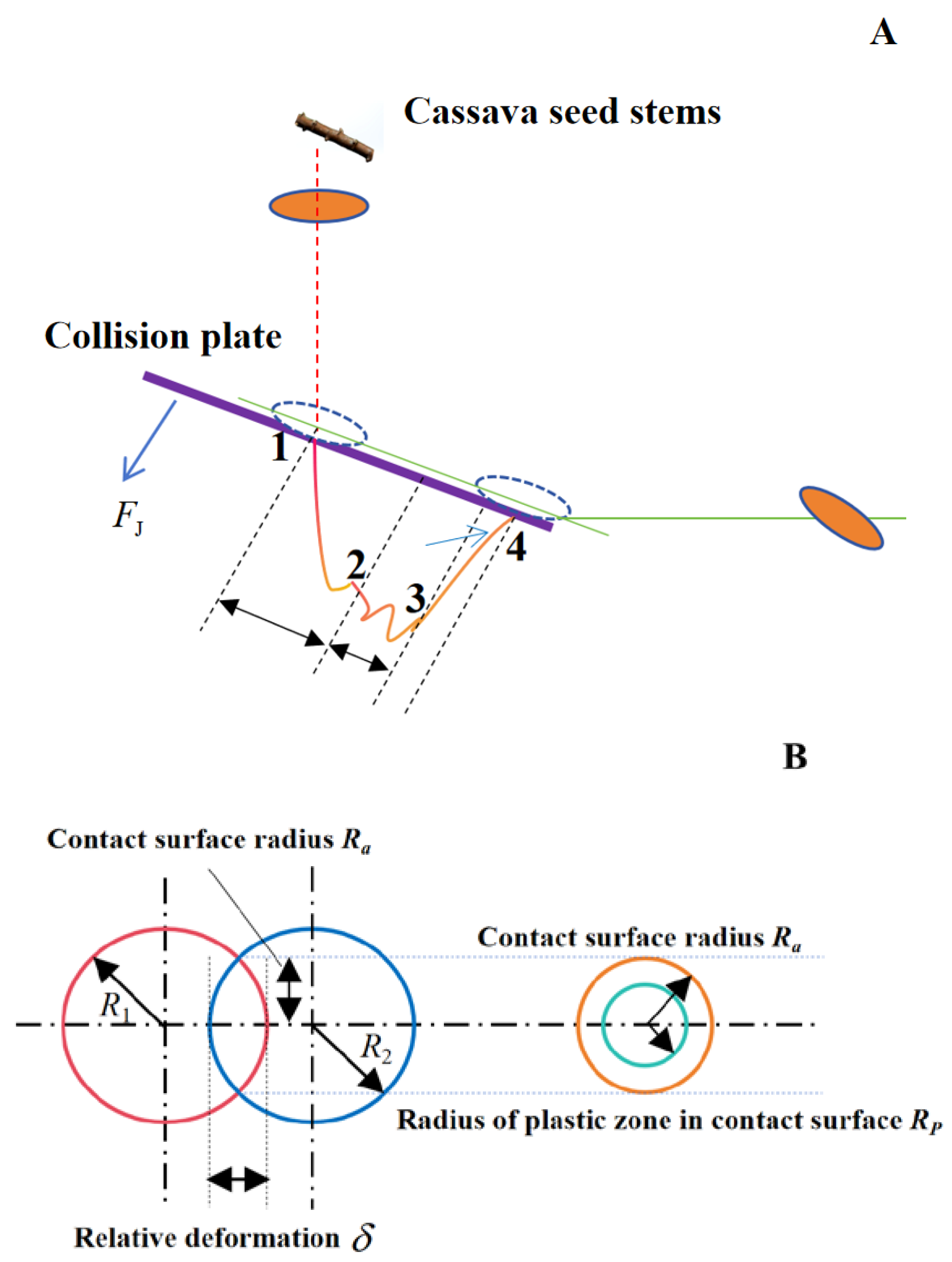 Agronomy 15 00805 g001