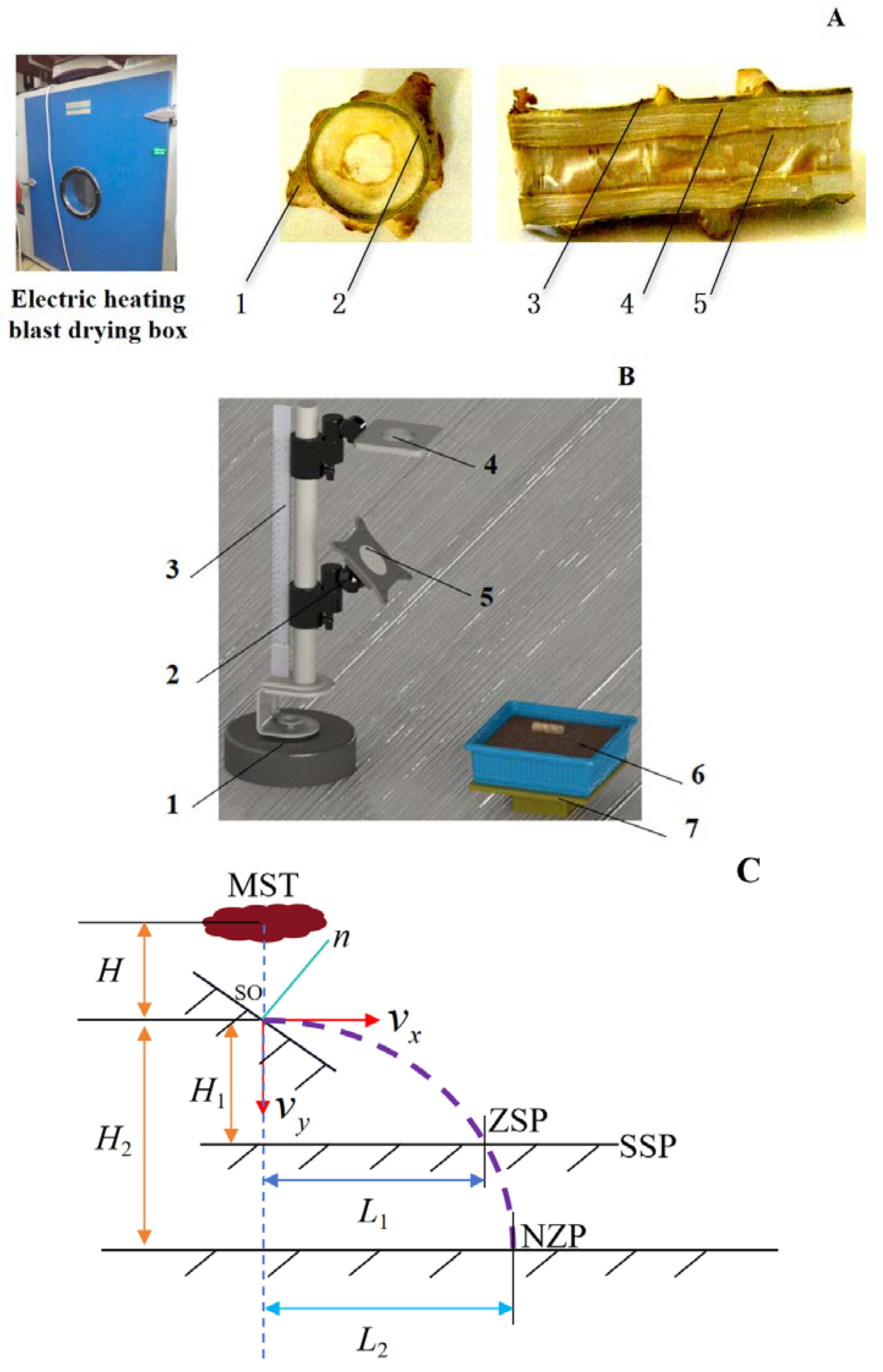 Agronomy 15 00805 g004