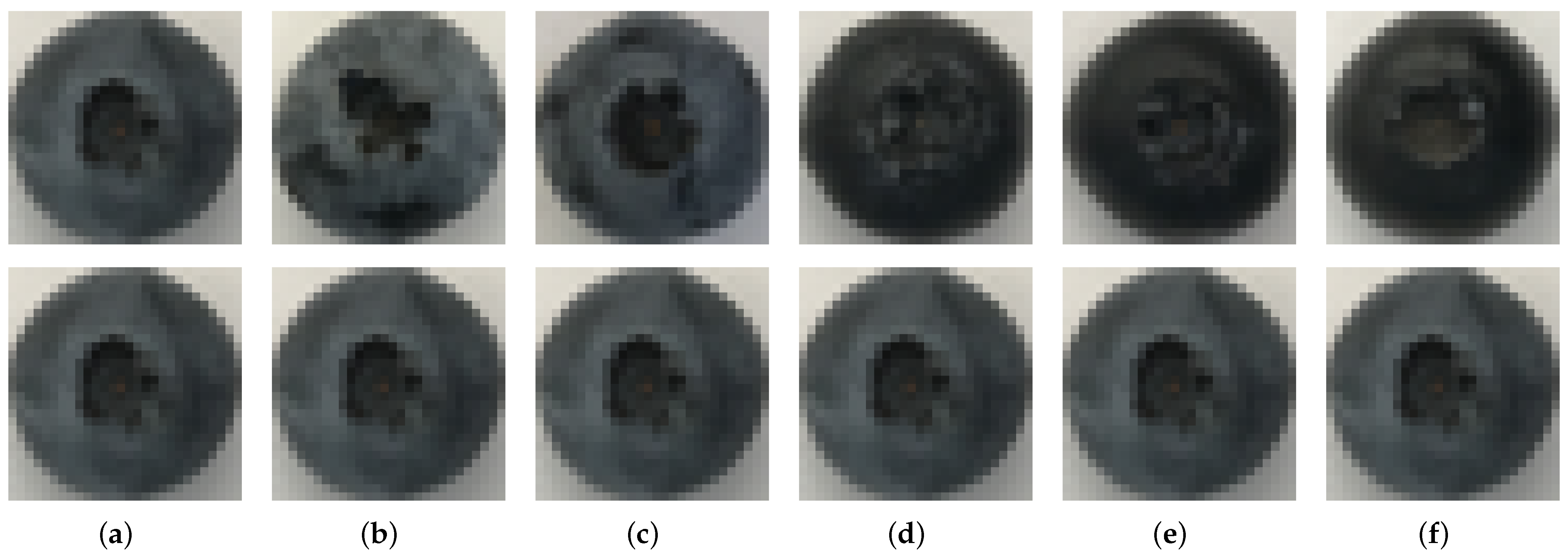 Agronomy 15 00809 g002