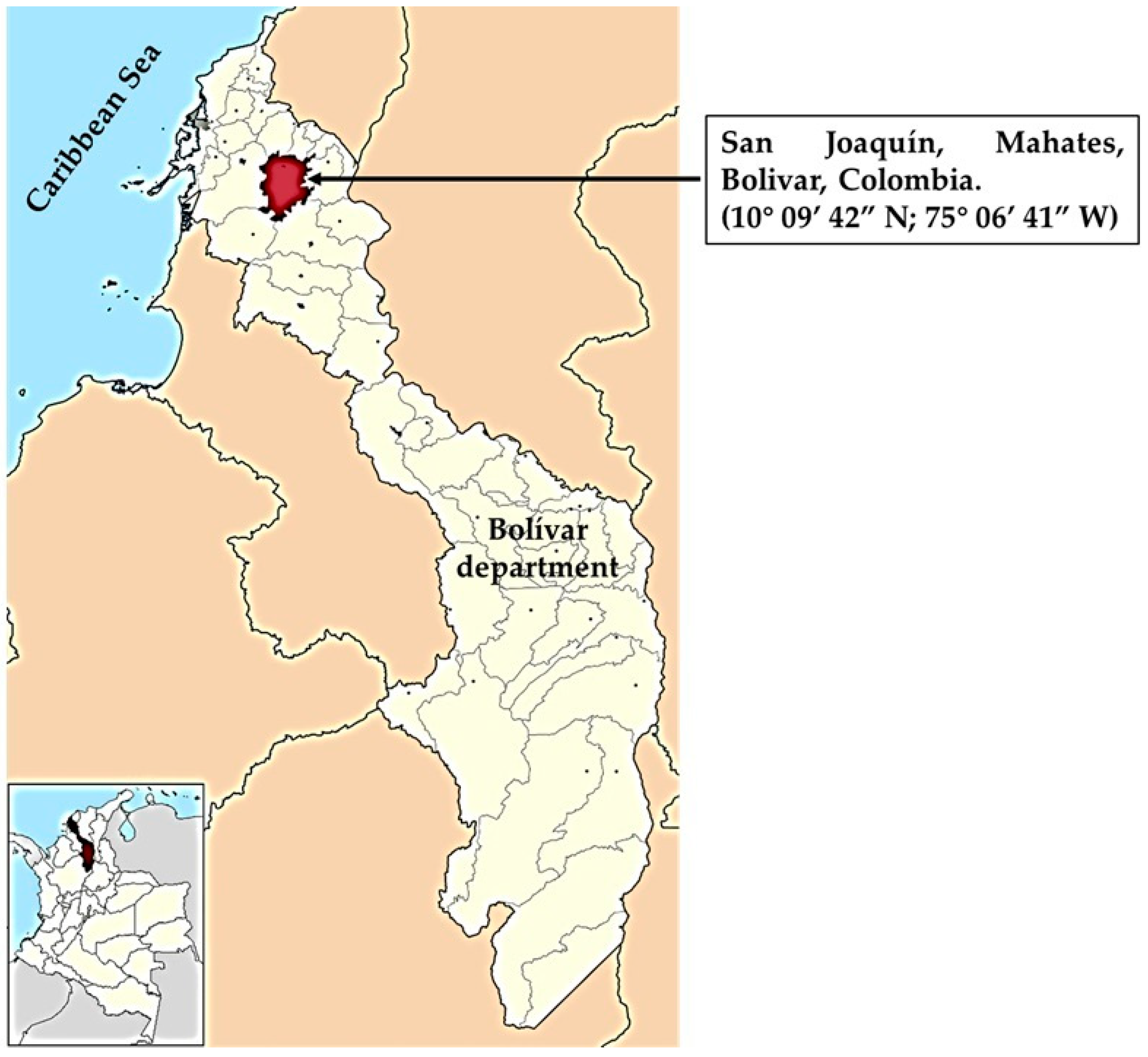 Agronomy 15 00814 g001