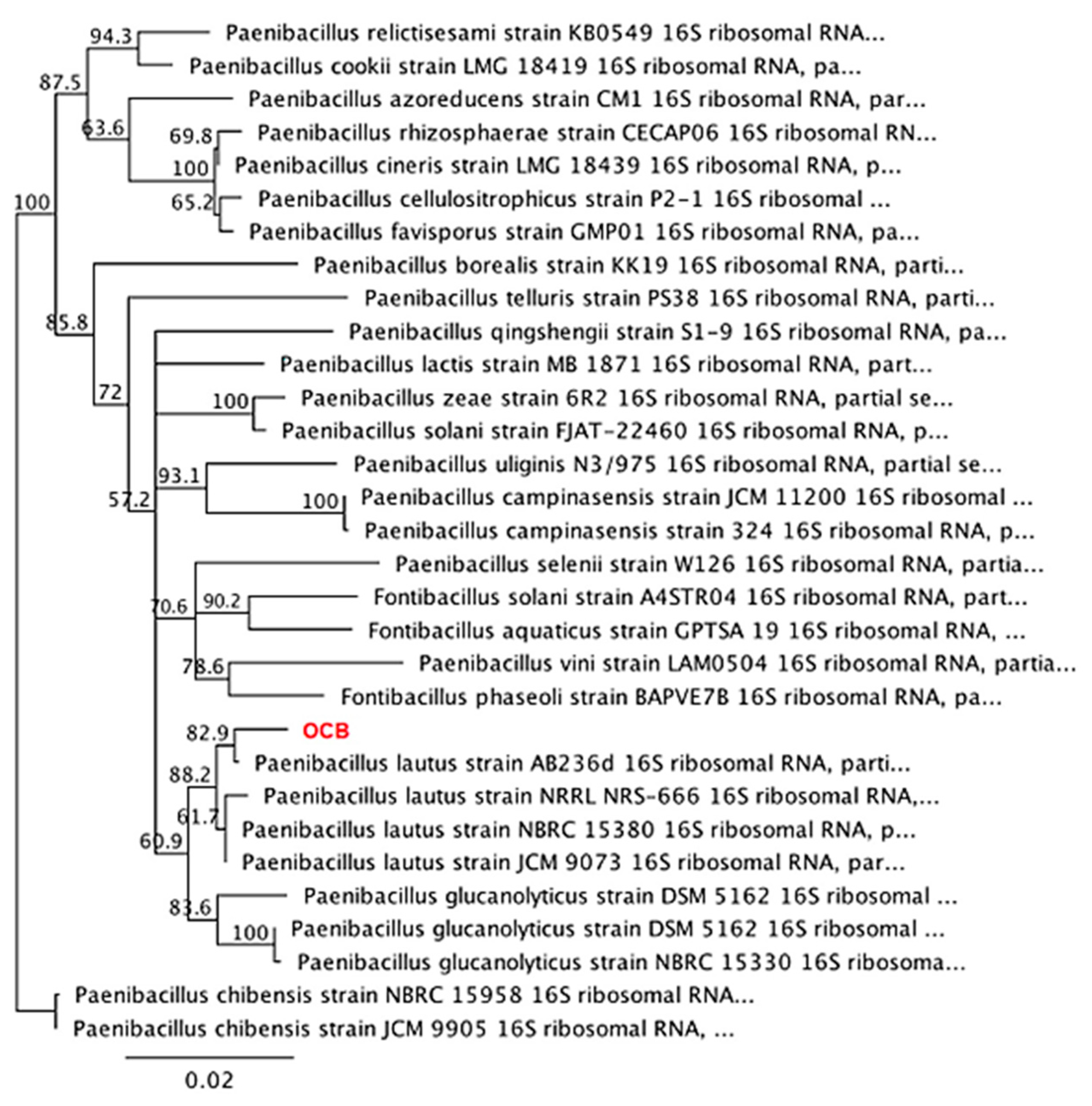 Agronomy 15 00814 g003