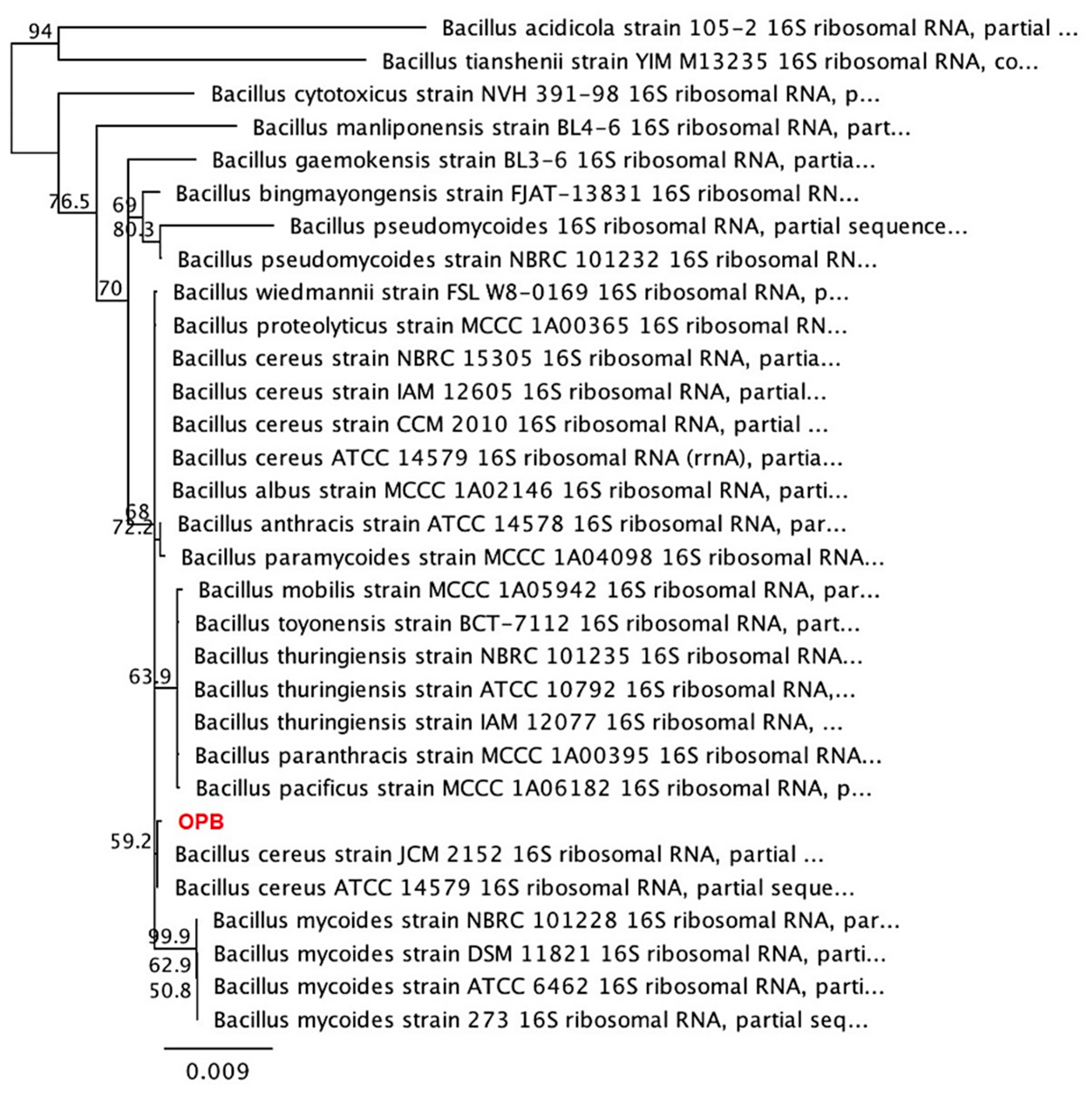 Agronomy 15 00814 g004