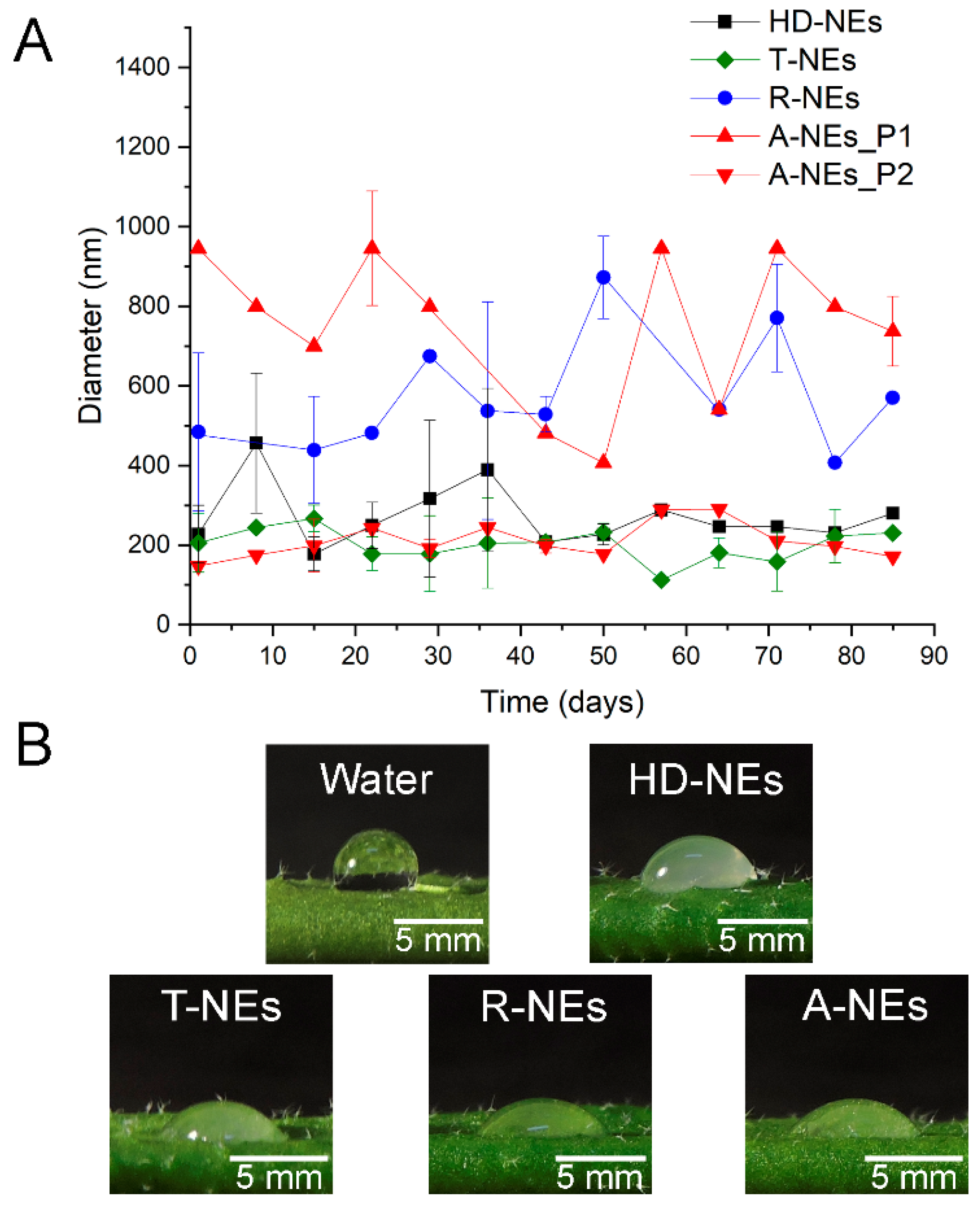 Agronomy 15 00824 g001