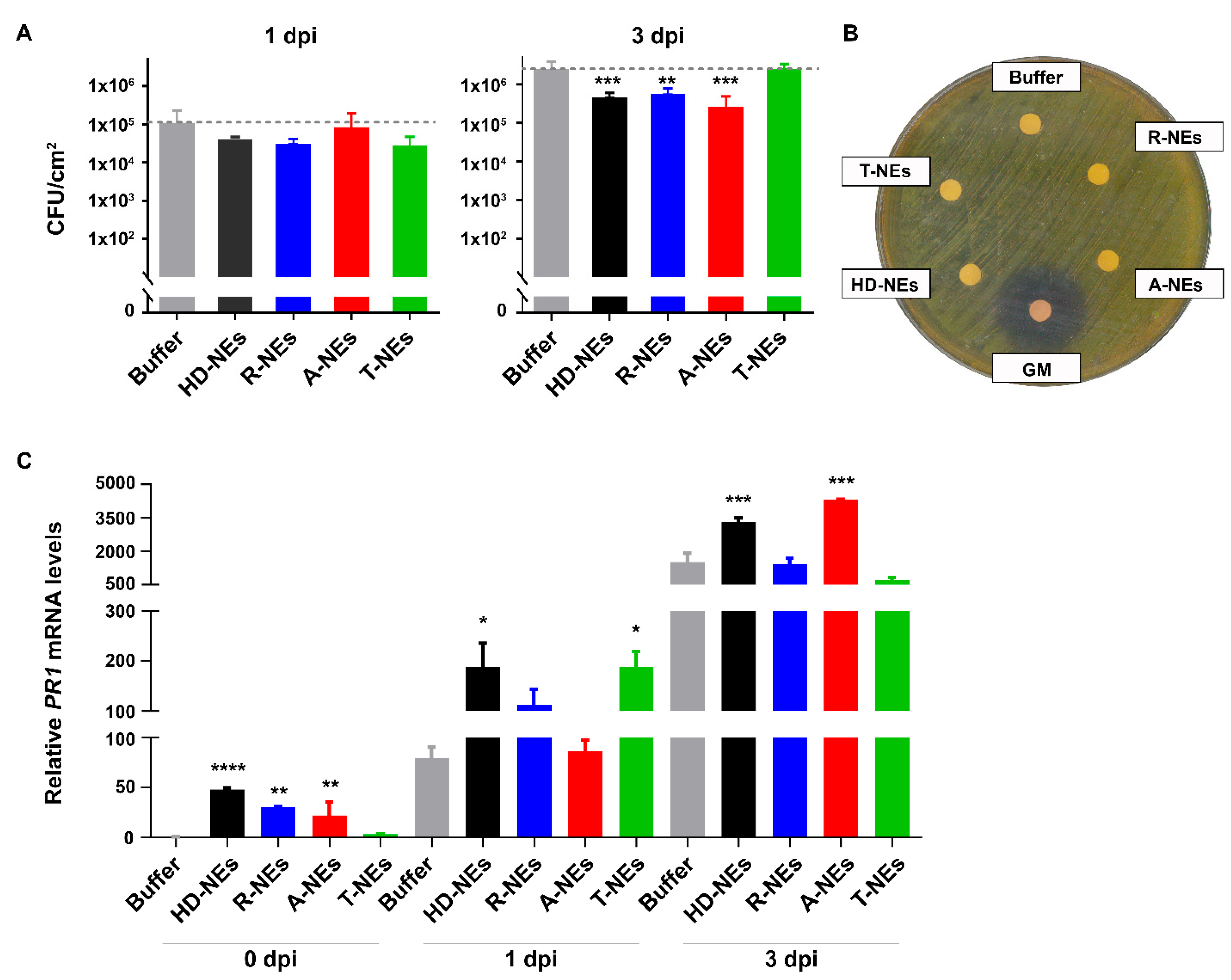 Agronomy 15 00824 g002