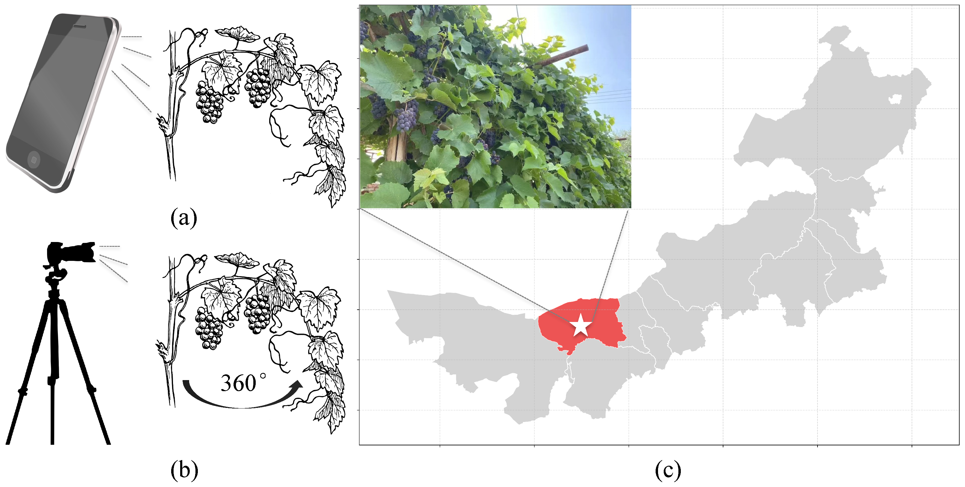 Agronomy 15 00831 g003