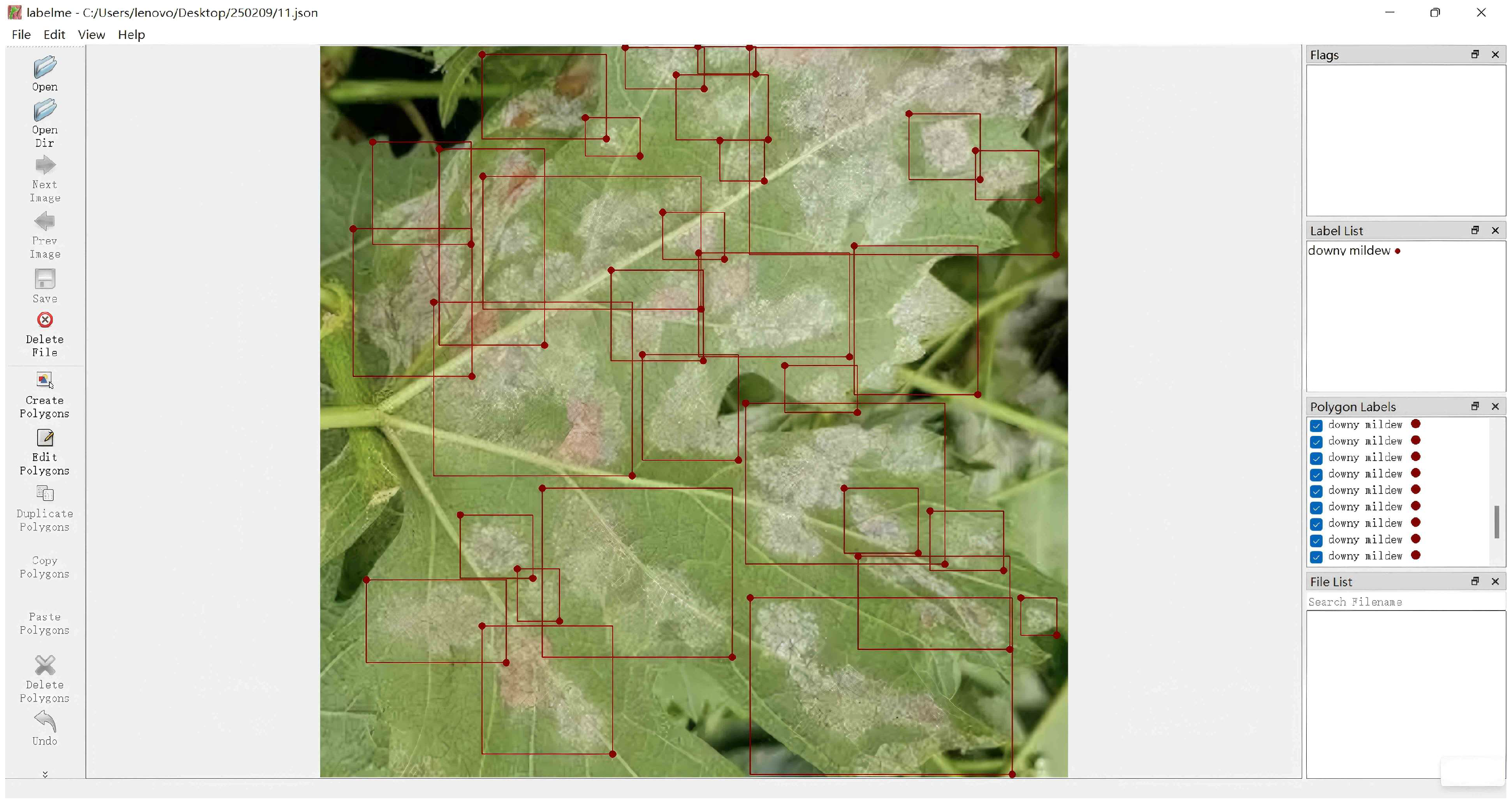 Agronomy 15 00831 g004