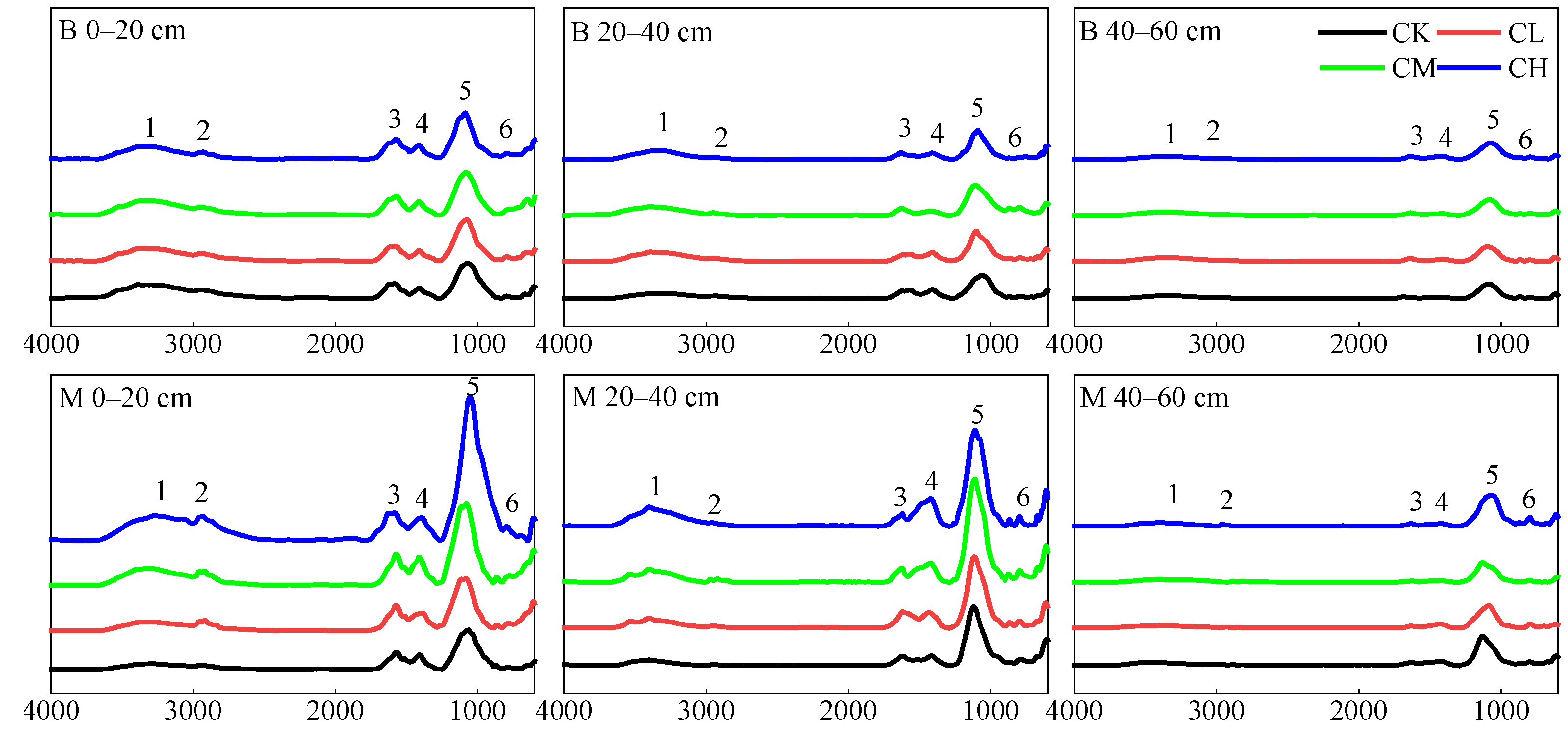 Agronomy 15 00833 g006