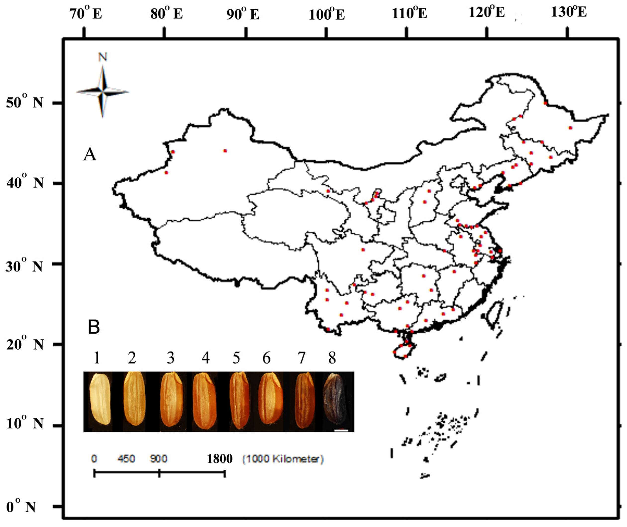 Agronomy 15 00835 g001