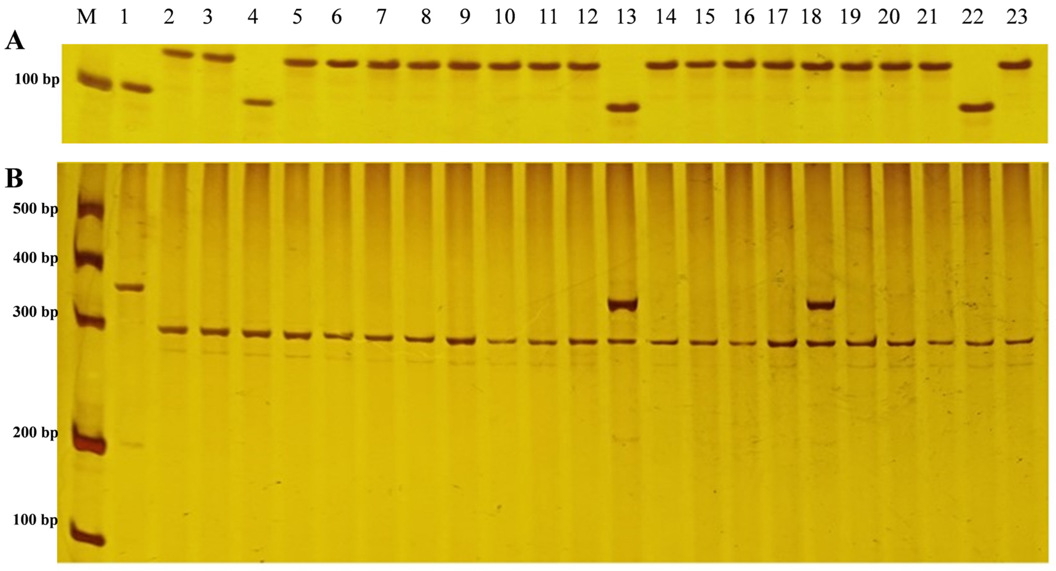 Agronomy 15 00835 g002