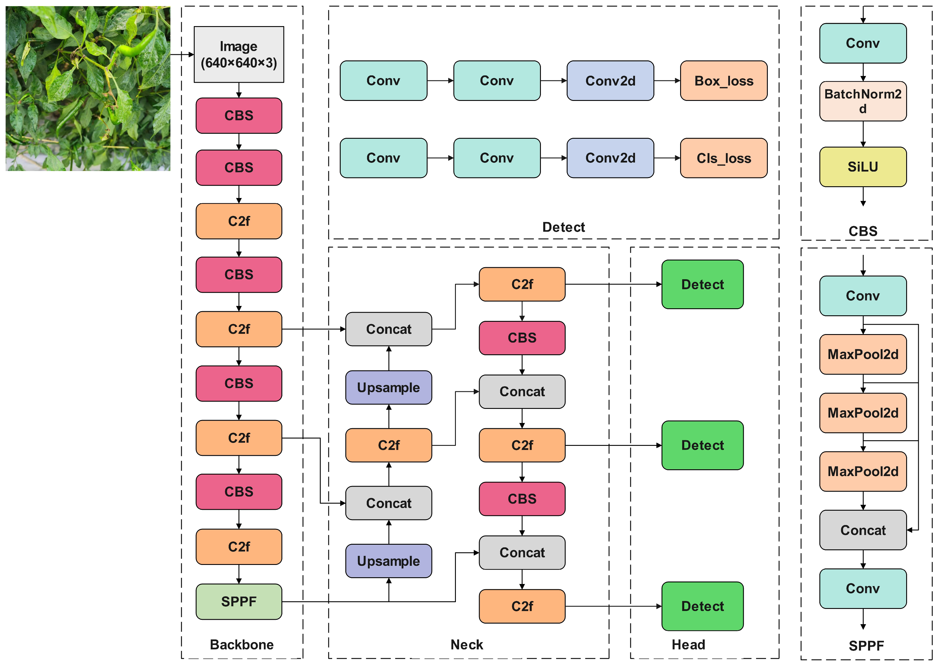 Agronomy 15 00839 g002