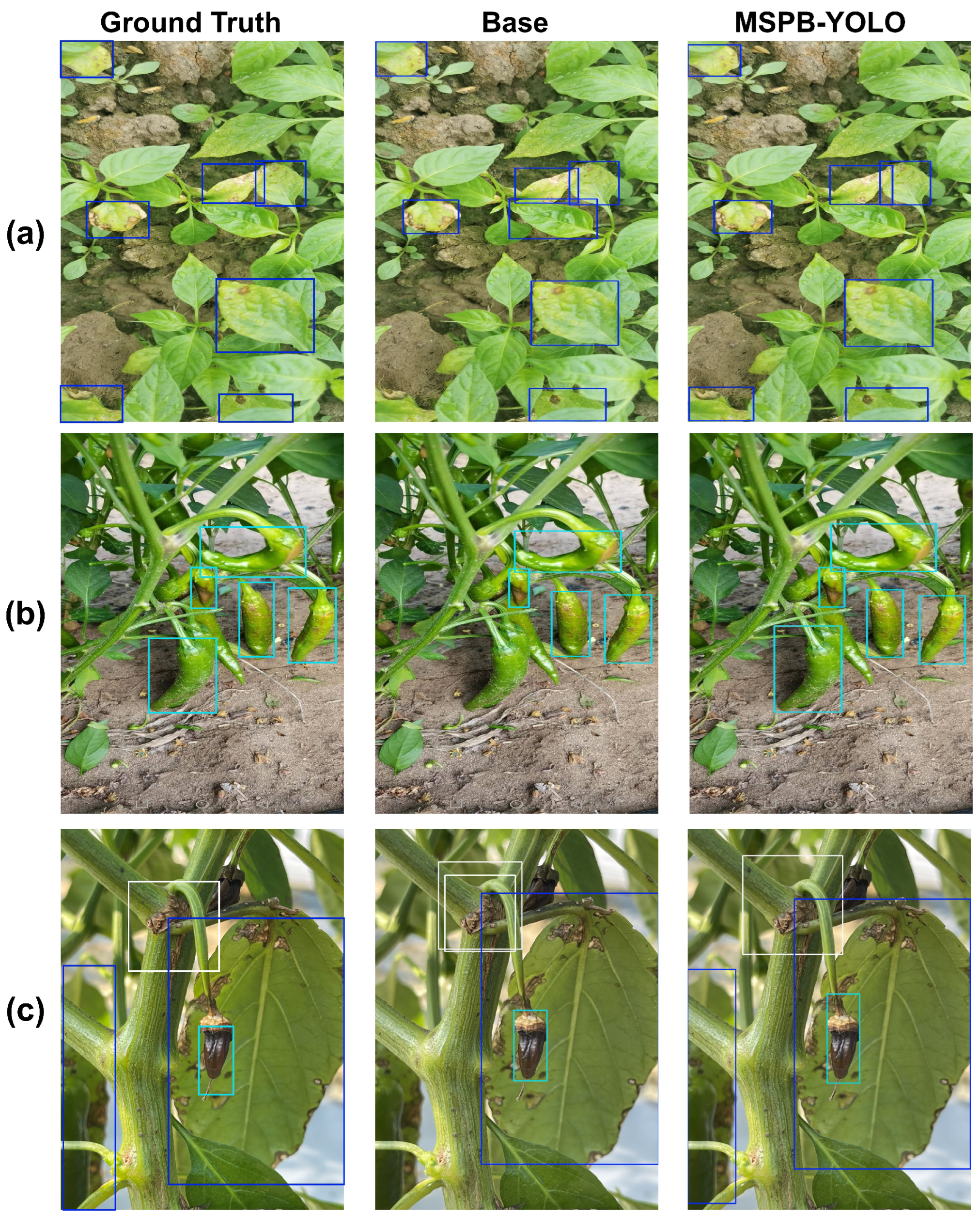 Agronomy 15 00839 g010