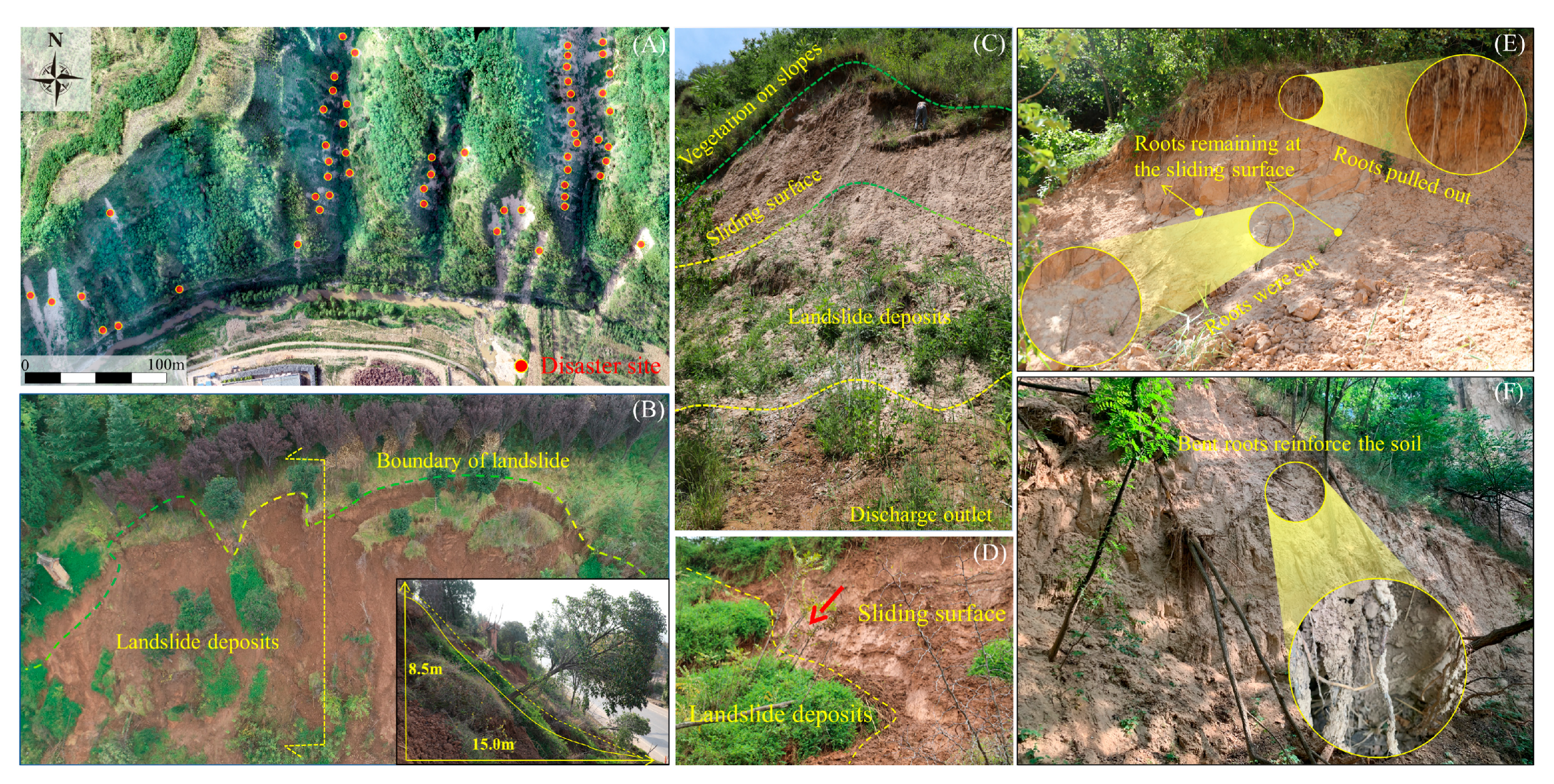 Agronomy 15 00847 g001