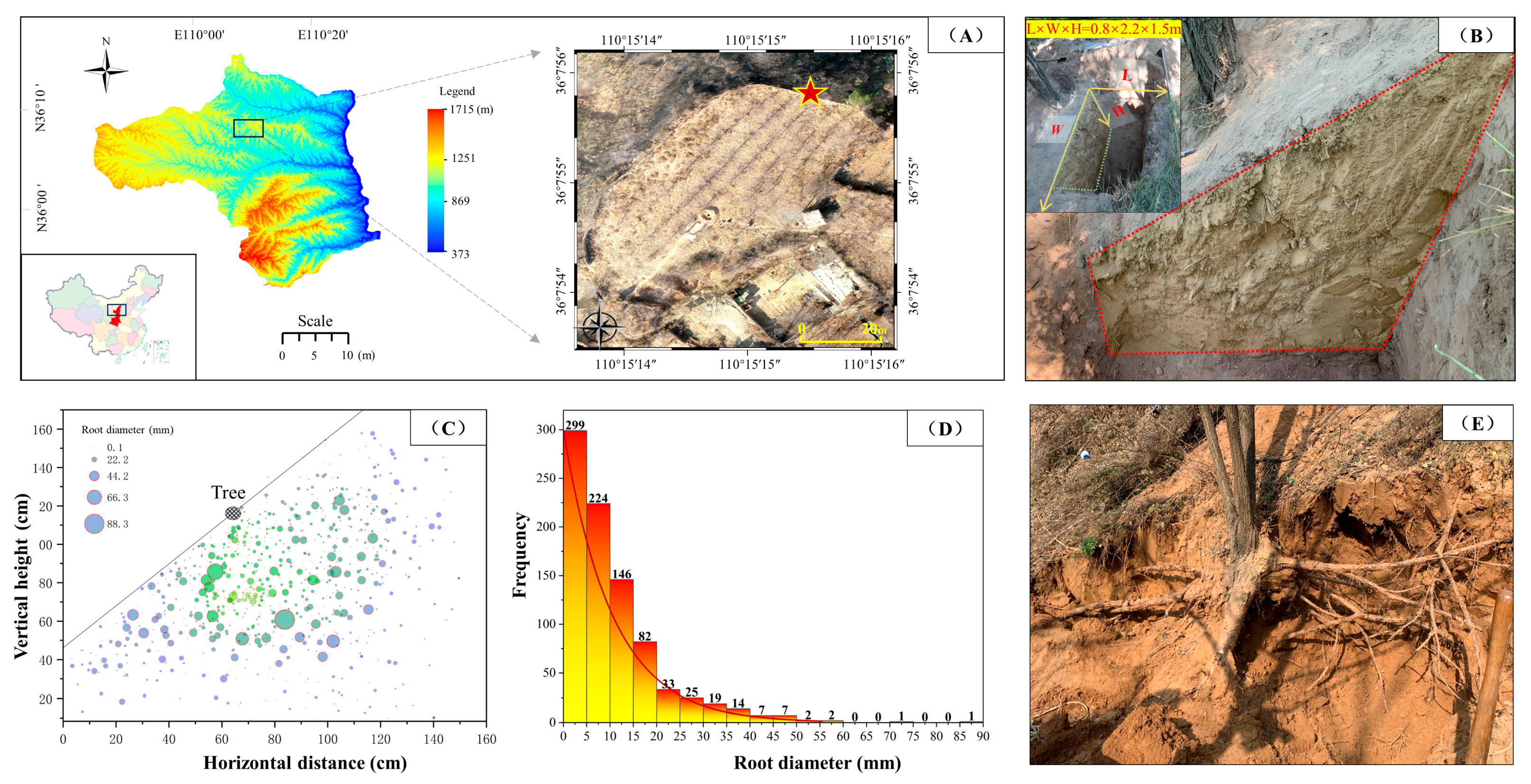 Agronomy 15 00847 g003
