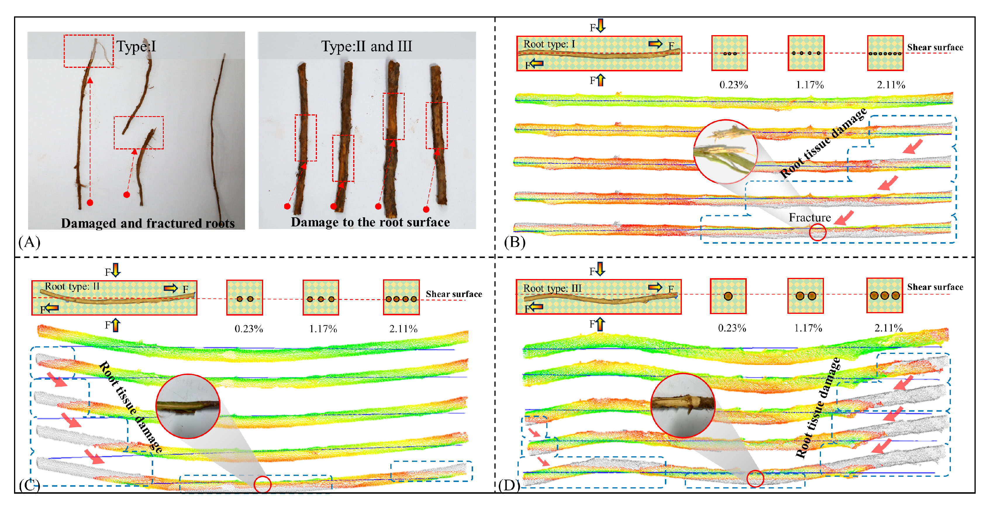 Agronomy 15 00847 g009
