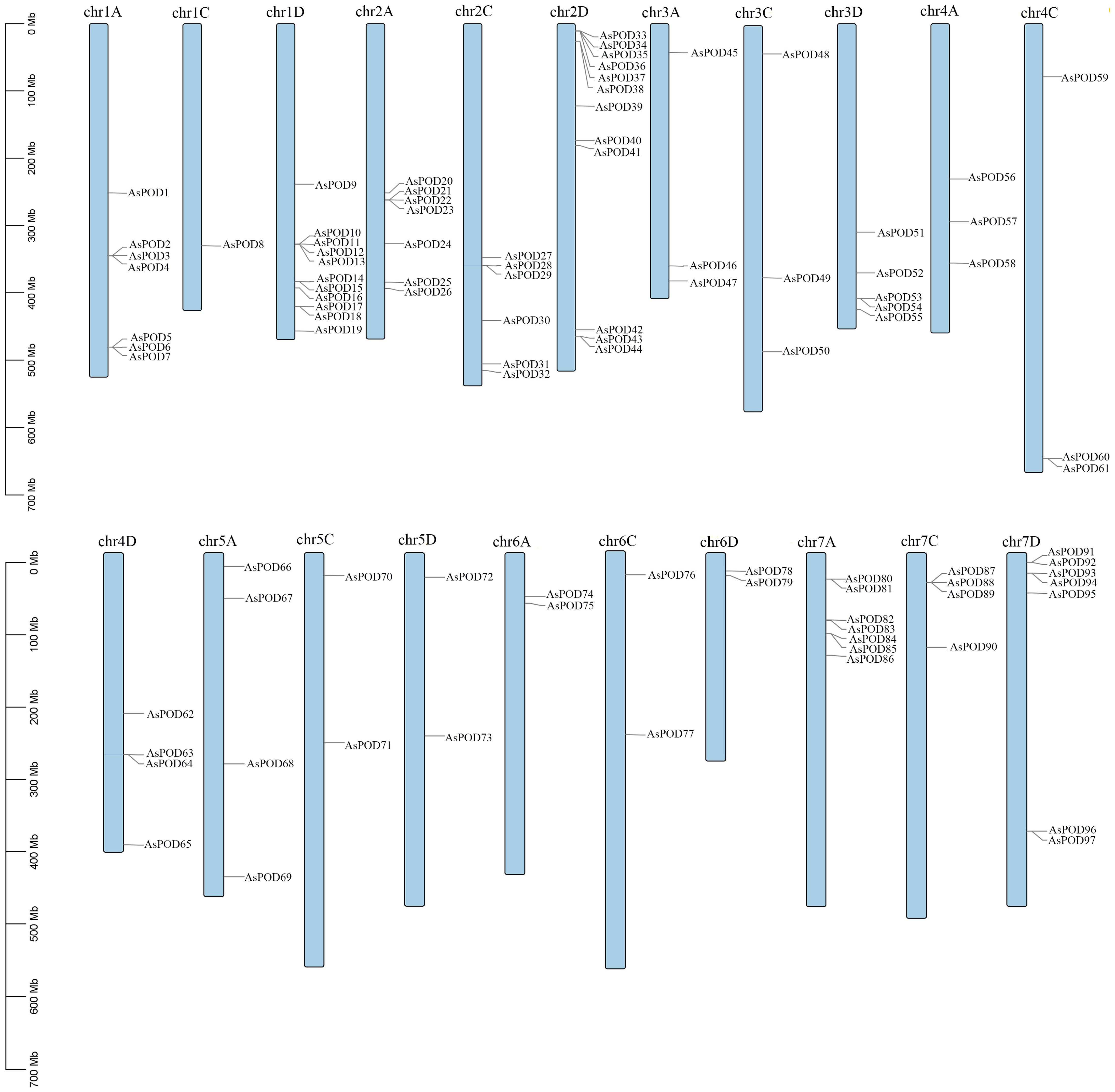Agronomy 15 00852 g001