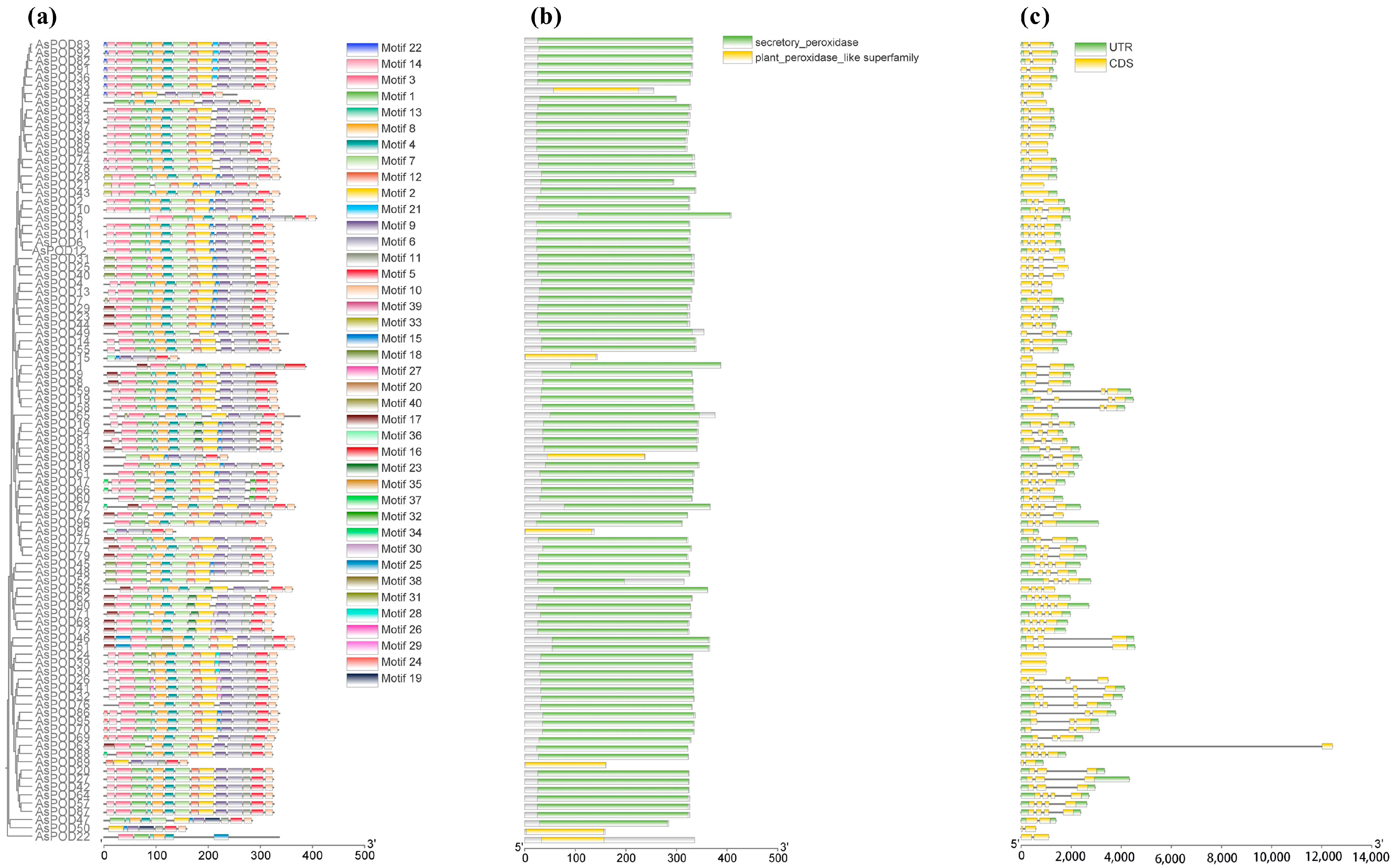Agronomy 15 00852 g002